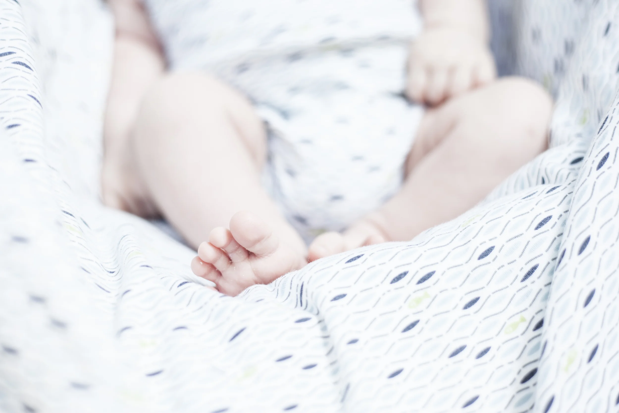 IMG_3942.jpg