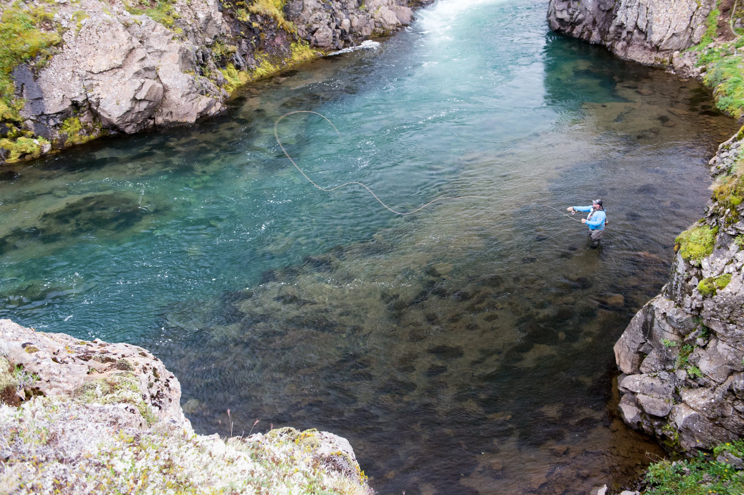 Iceland_Fish_2.jpg