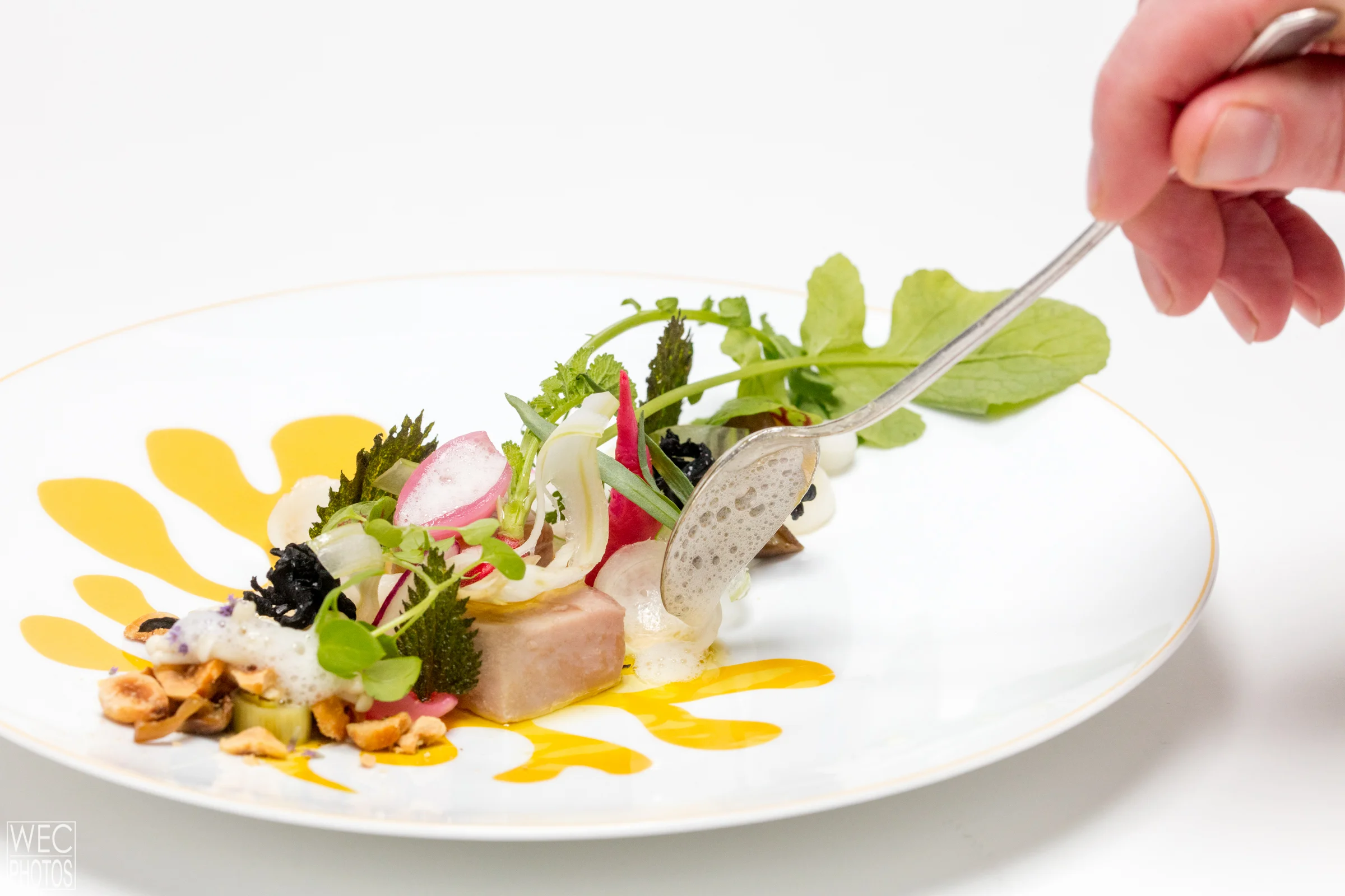 0916 Menton Tasting Menu-012.jpg