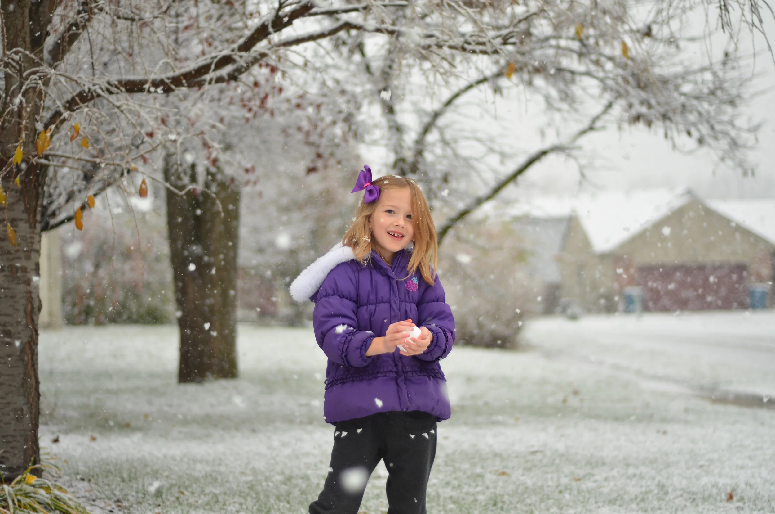 The First Snow