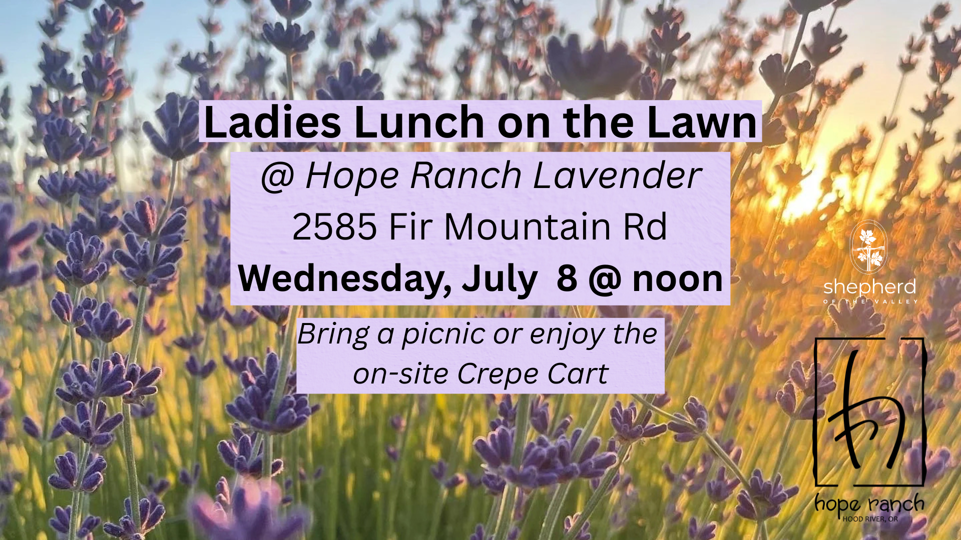 Ladies Lunch @ Hope Ranch Lavender