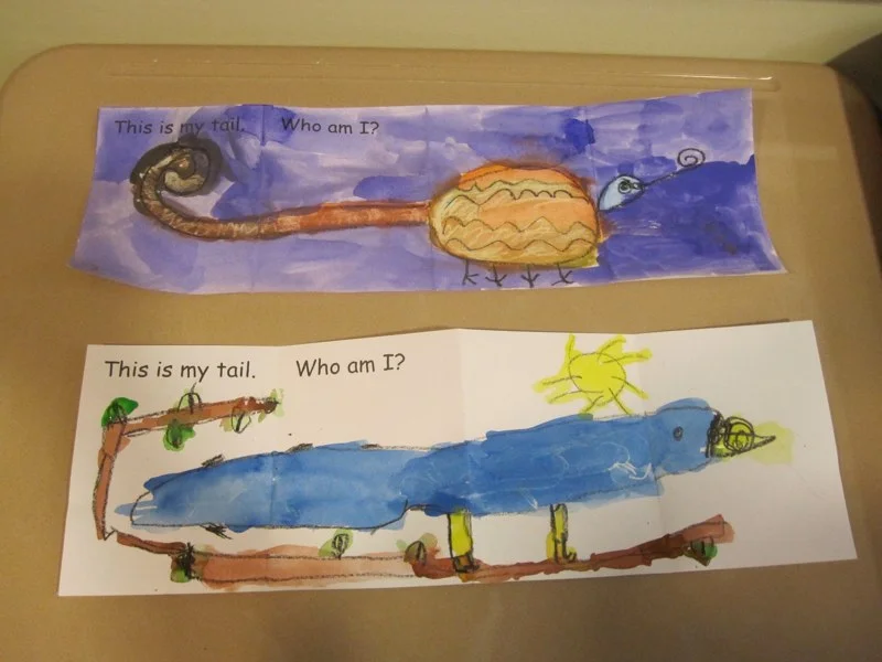 Bird and Iguana Tail Illustrations