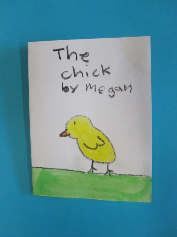 Chick Book by a Student