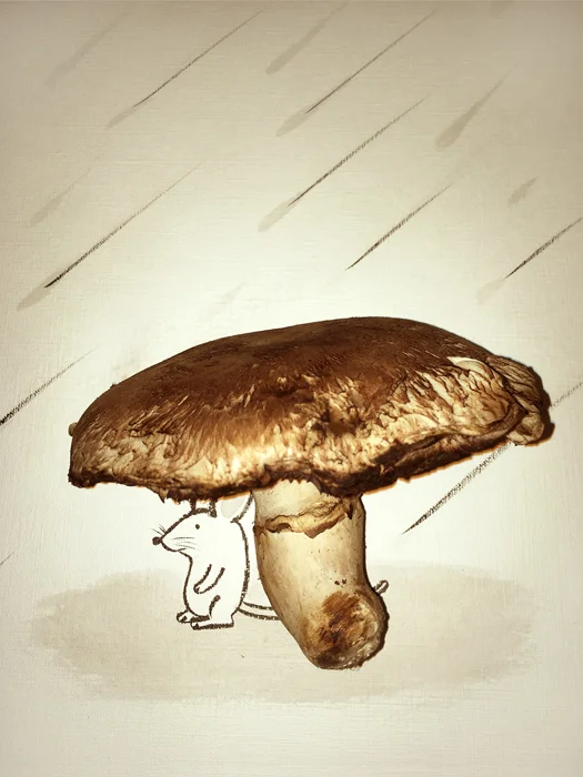 mouse-mushroom.jpg