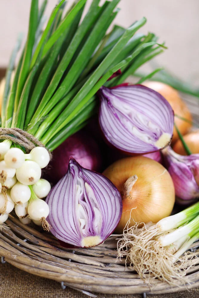 FODMAPs — What They Are and Why They Matter — Pamela Grant, L.Ac, NTP