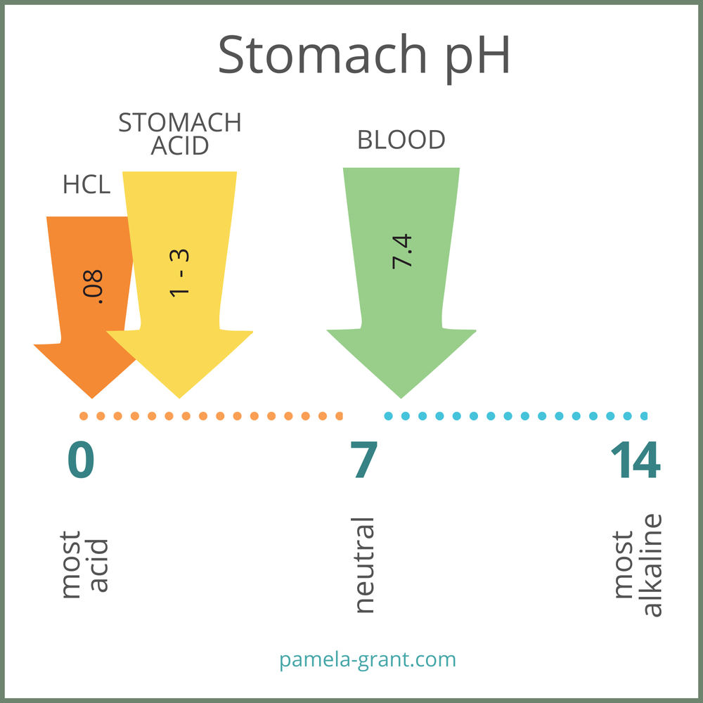 Ph Of Stomach Acid , Where Is Indigestion Tablets On The Ph Scale – FUPXZL