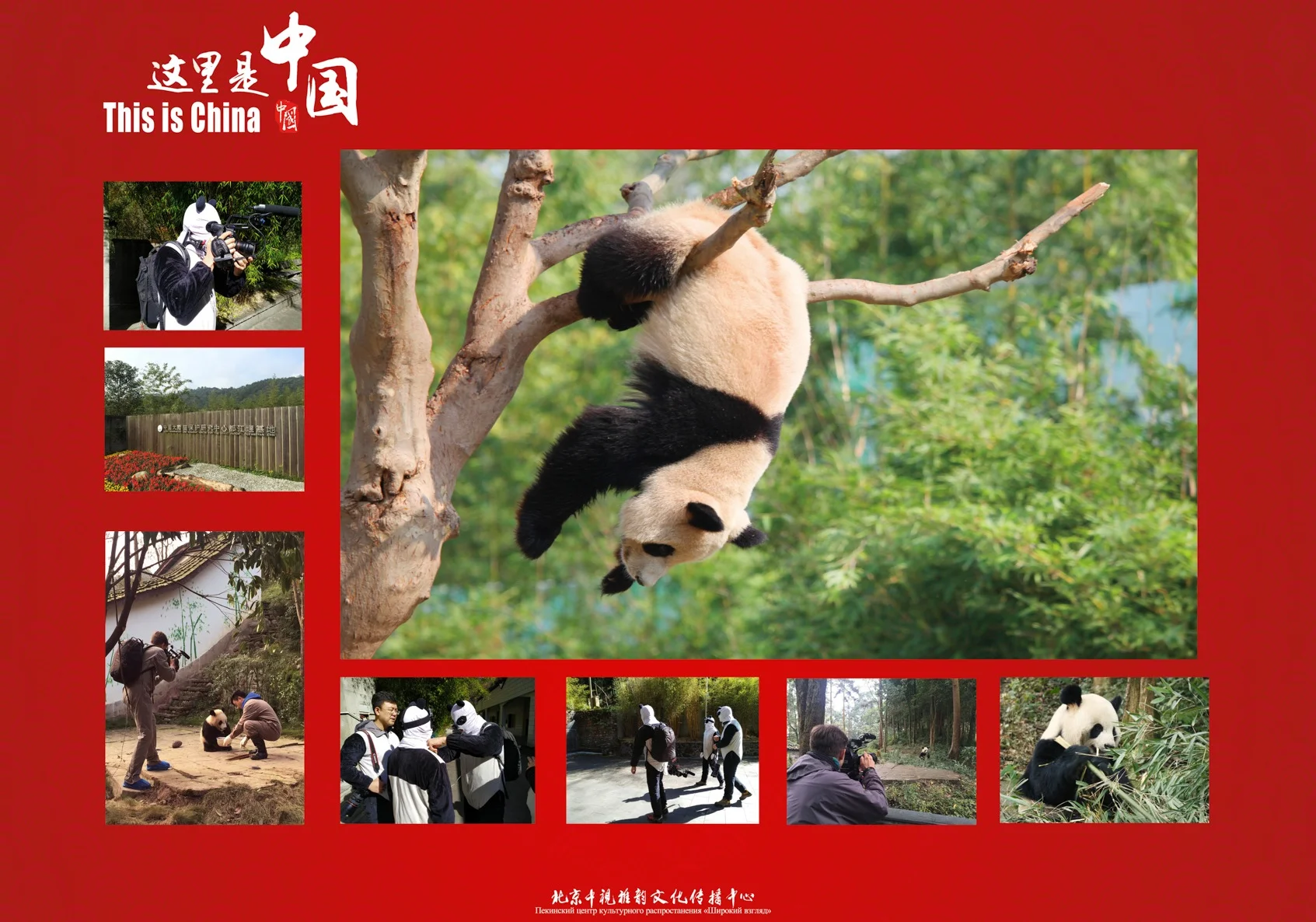 Episode: Panda Land