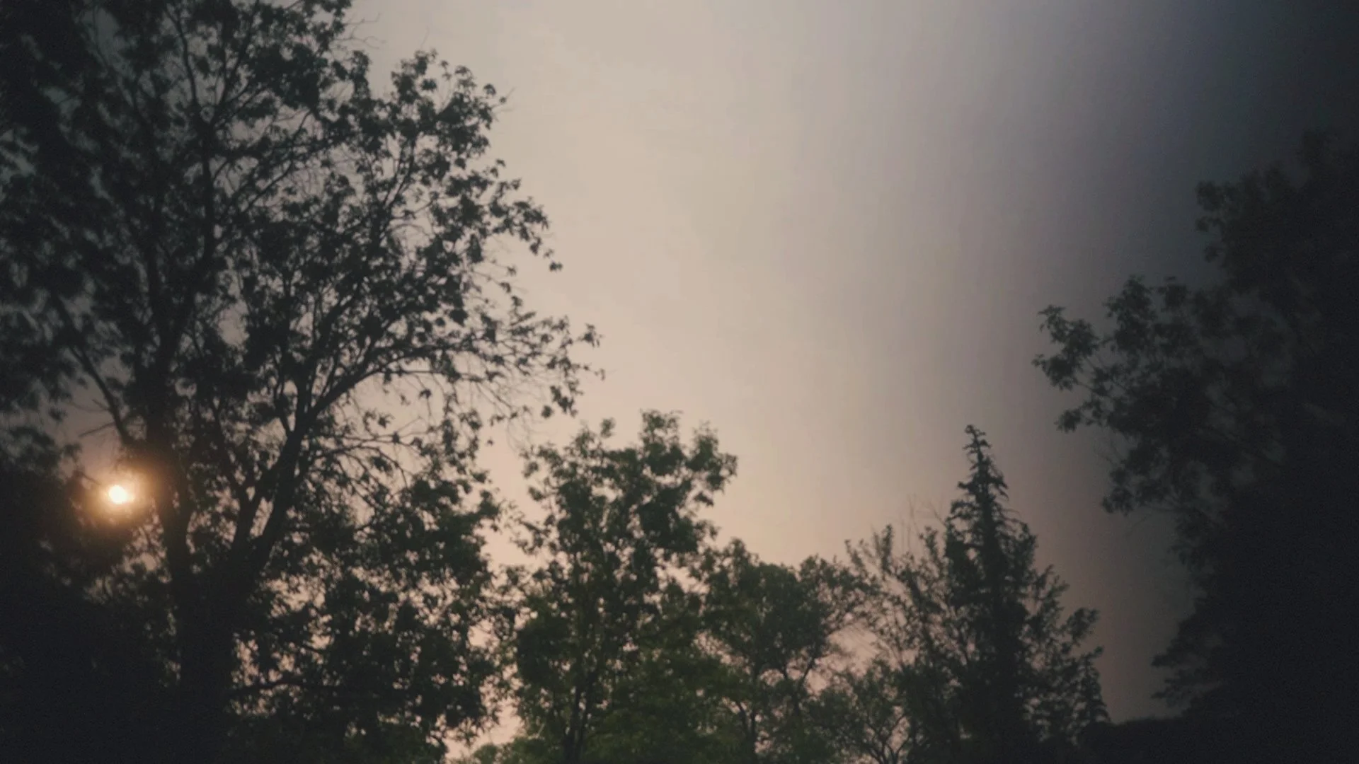 Sky.jpg