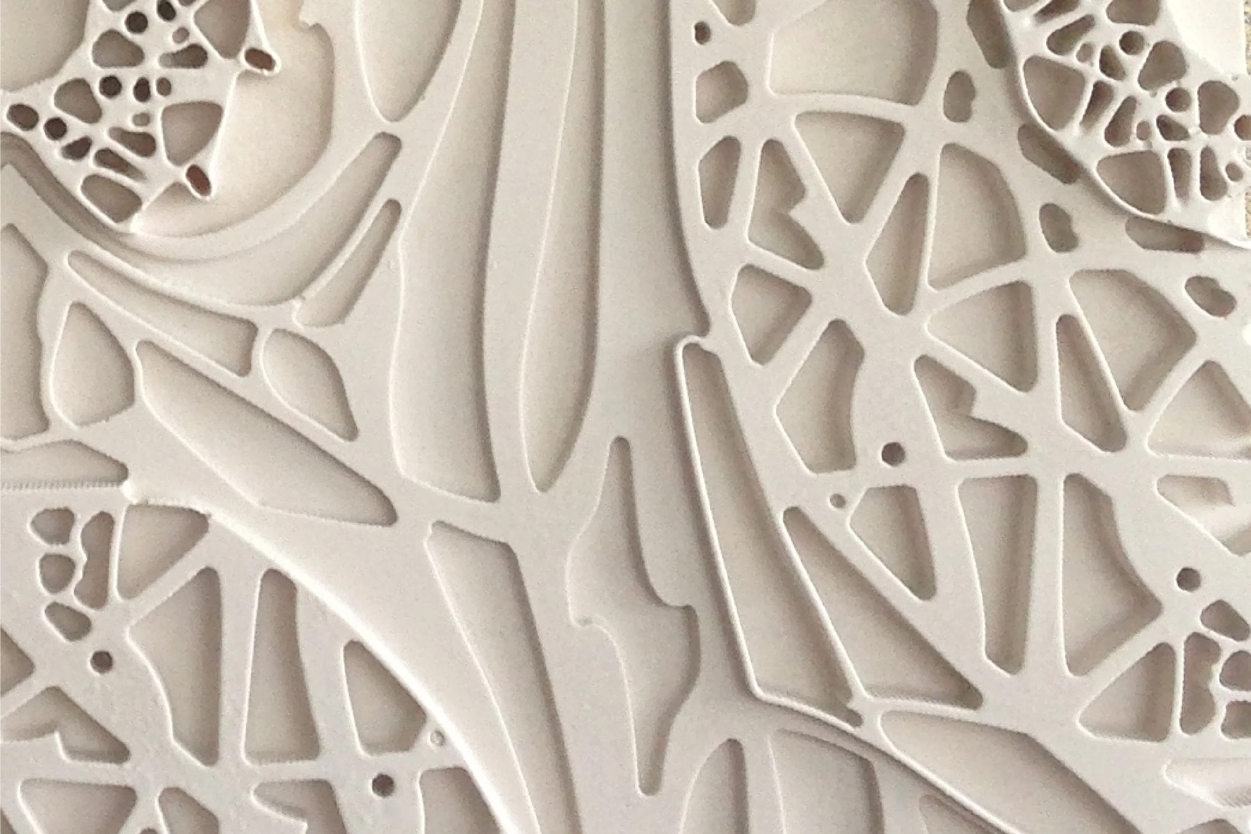 Close-Up Texture Shot