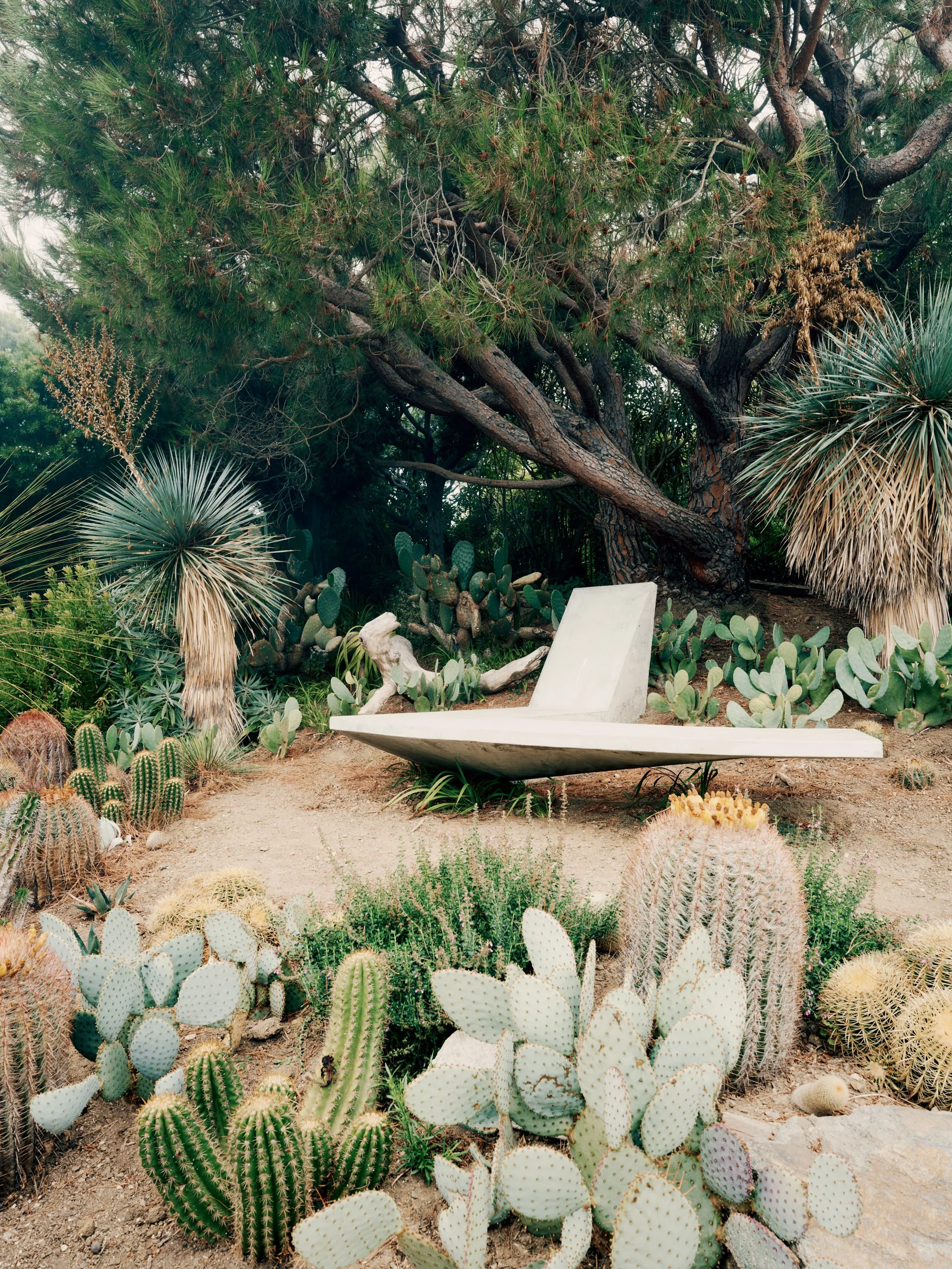 Radial Cast-in-Place Concrete Lounge