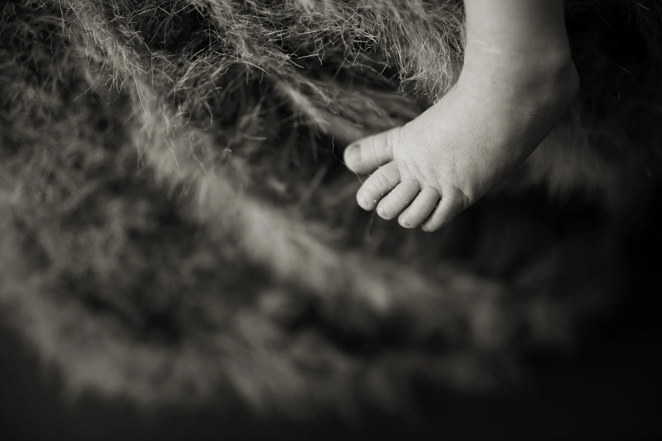 Worthington Photographer, newborn photography session