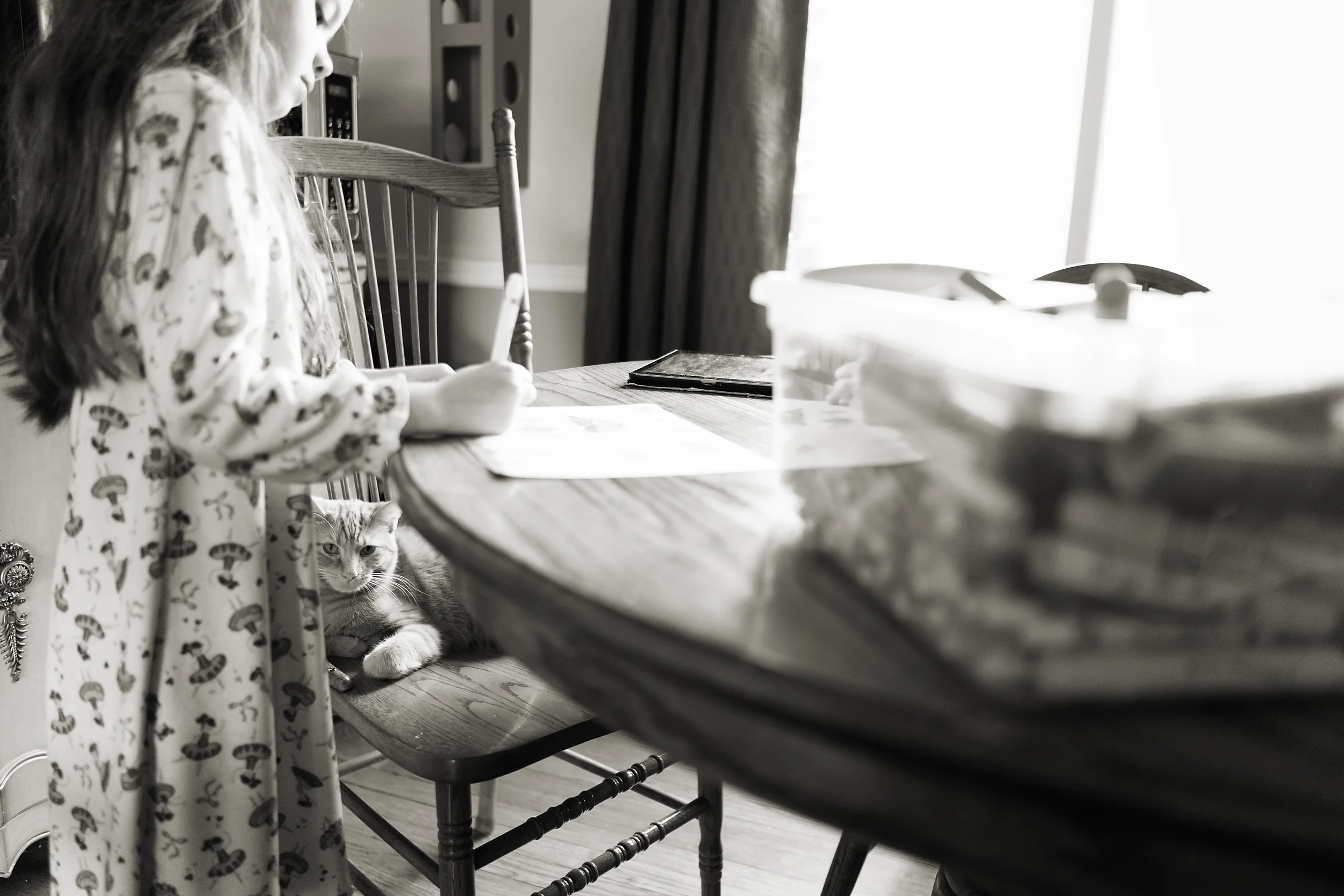 Columbus photographer captures child and cat making colored pictures in vintage home in Worthington. 
