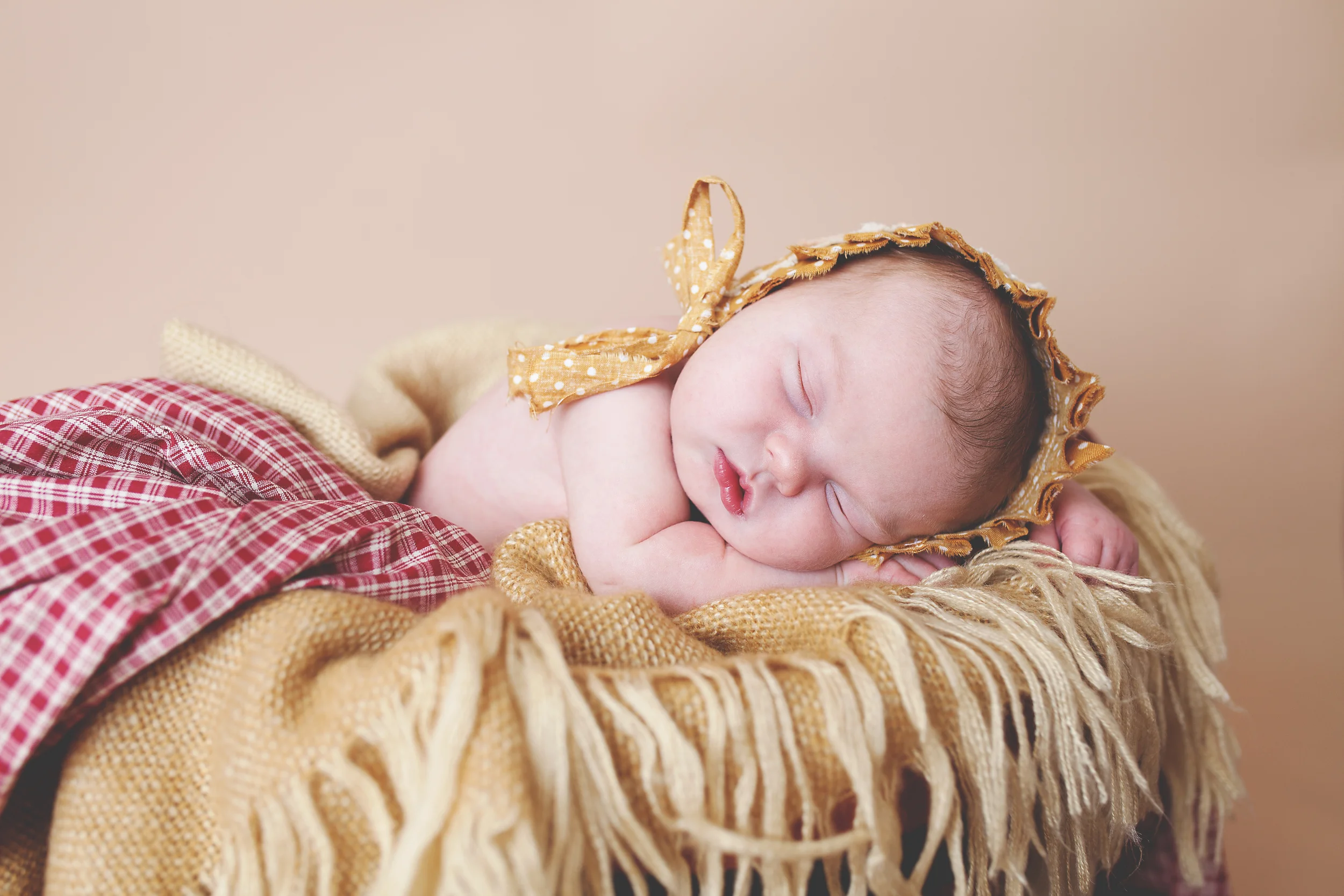 Worthington, Ohio local photographer, megan V photography. Powell studio servicing newborns, children and family sessions. 