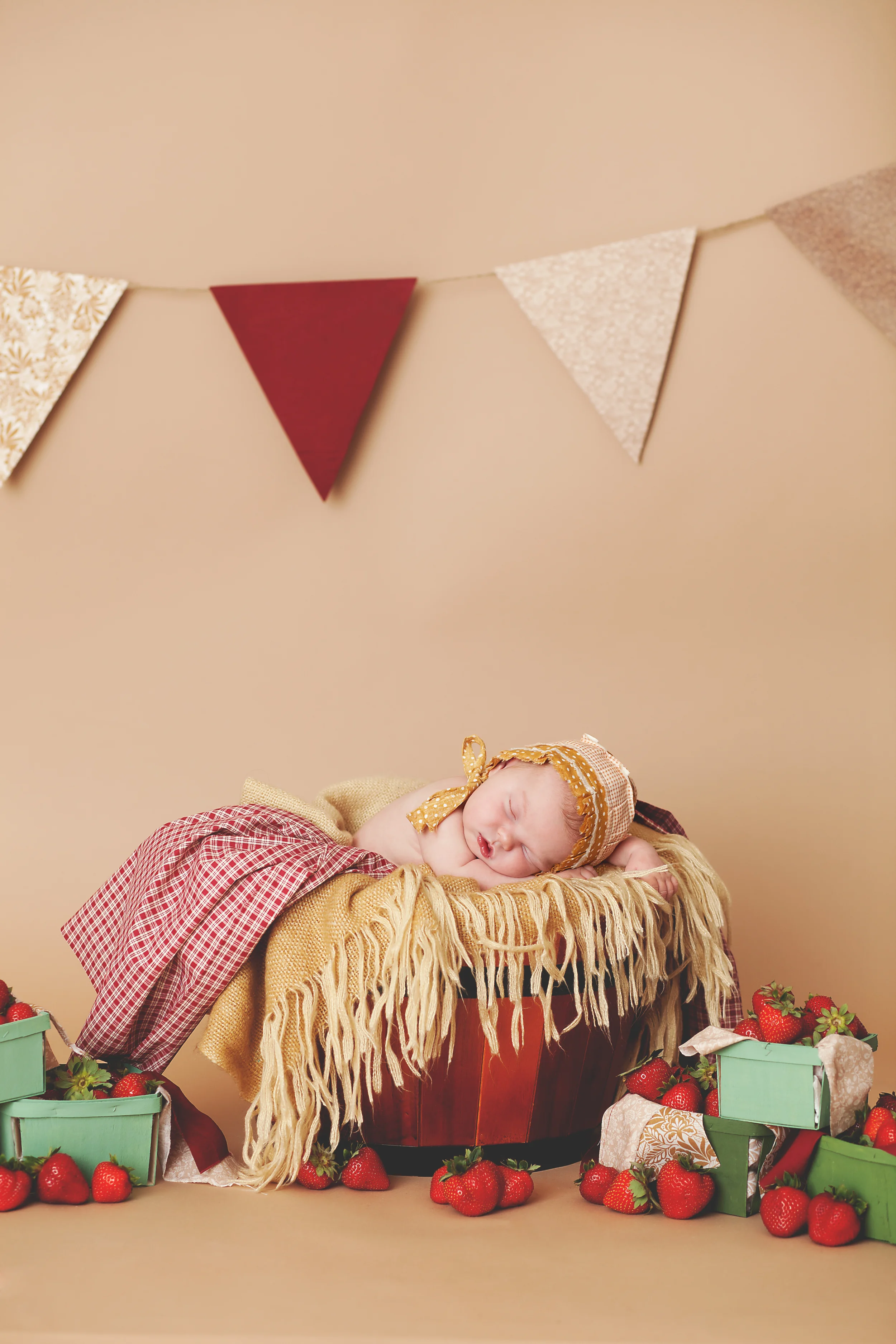 Worthington, Ohio local photographer, megan V photography. Powell studio servicing newborns, children and family sessions. 