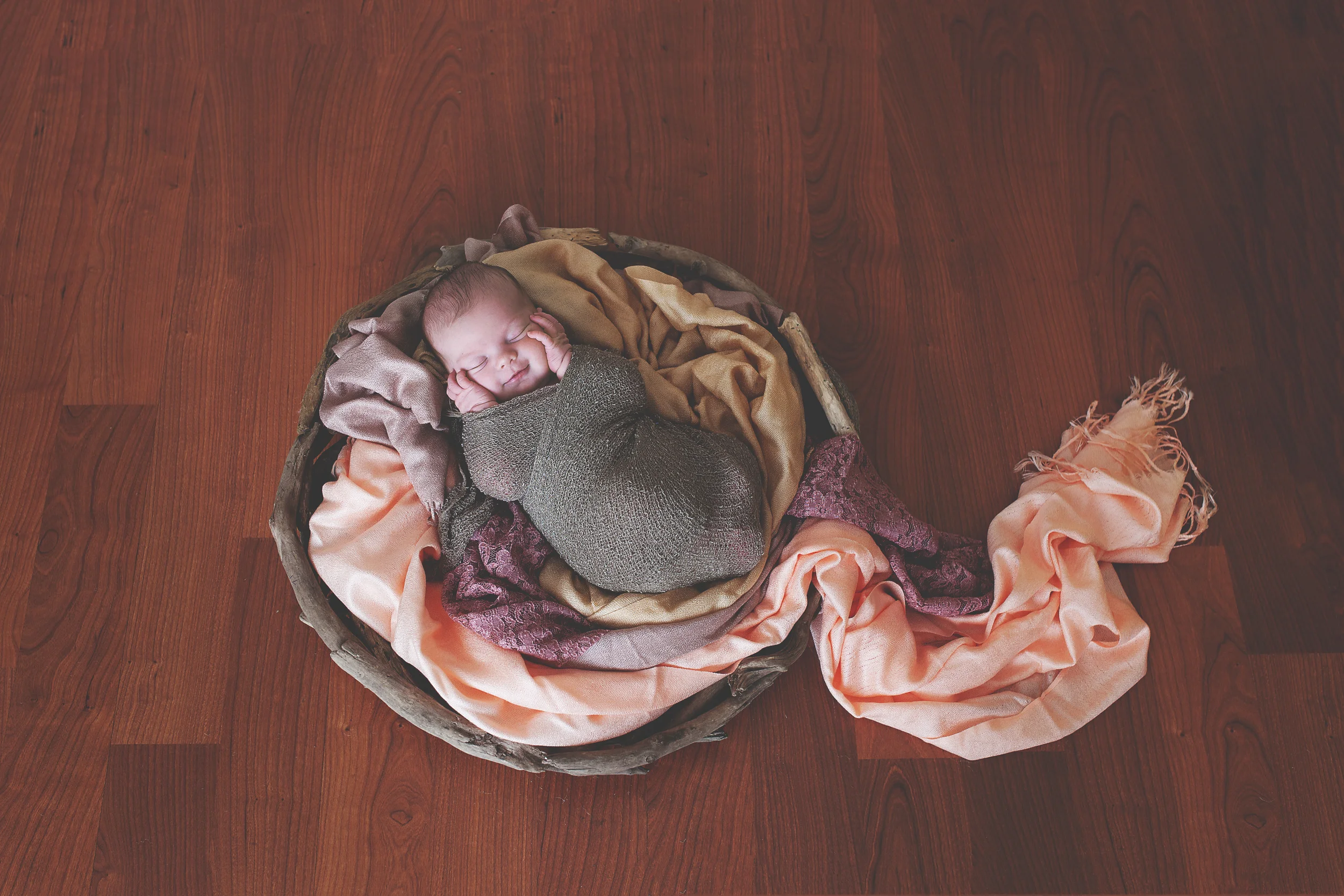 Worthington, Ohio local photographer, megan V photography. Powell studio servicing newborns, children and family sessions. 