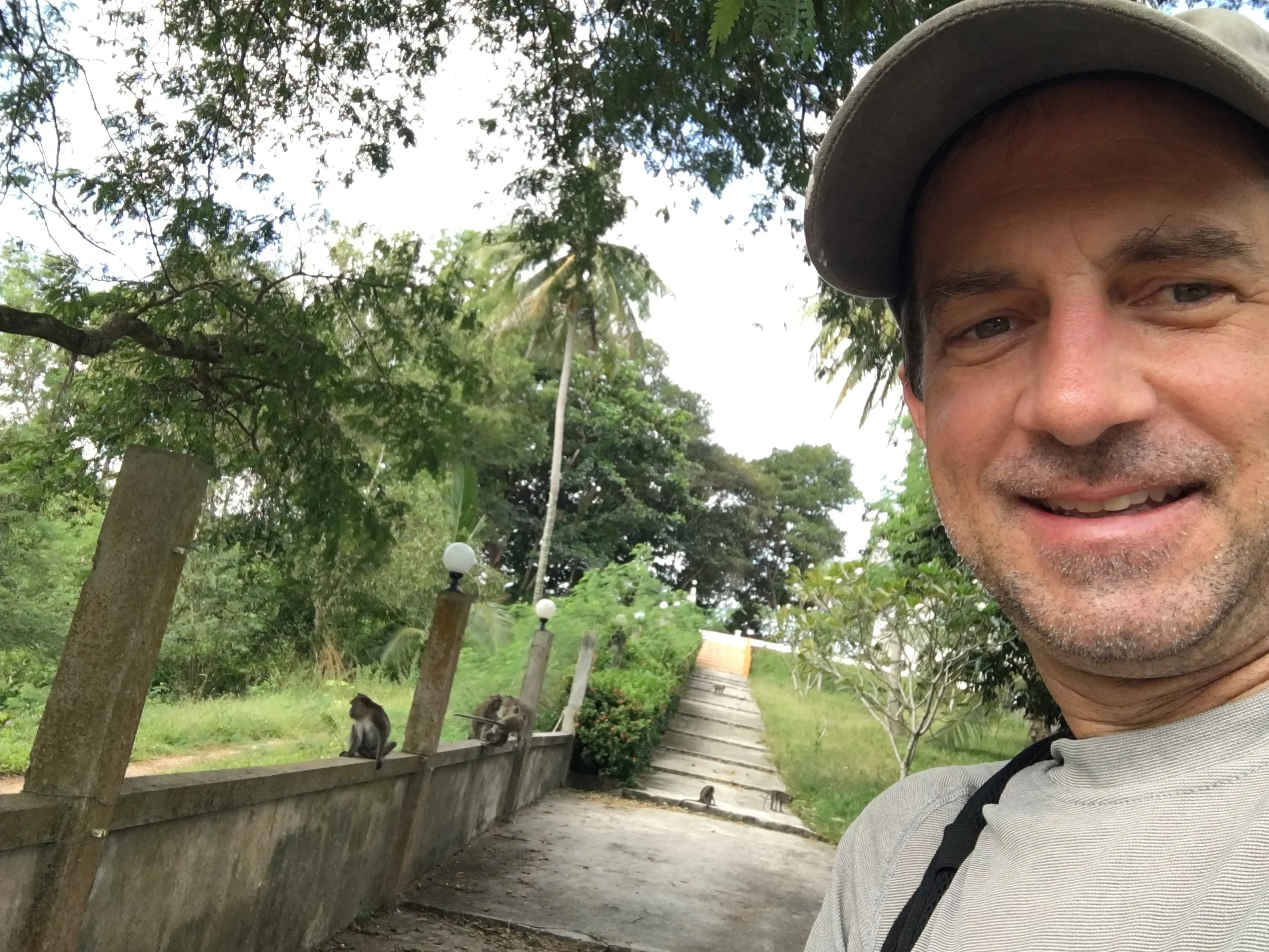 The monkeys continue to run around the property watching us clean... Frequently we are cleaning up after THEM.