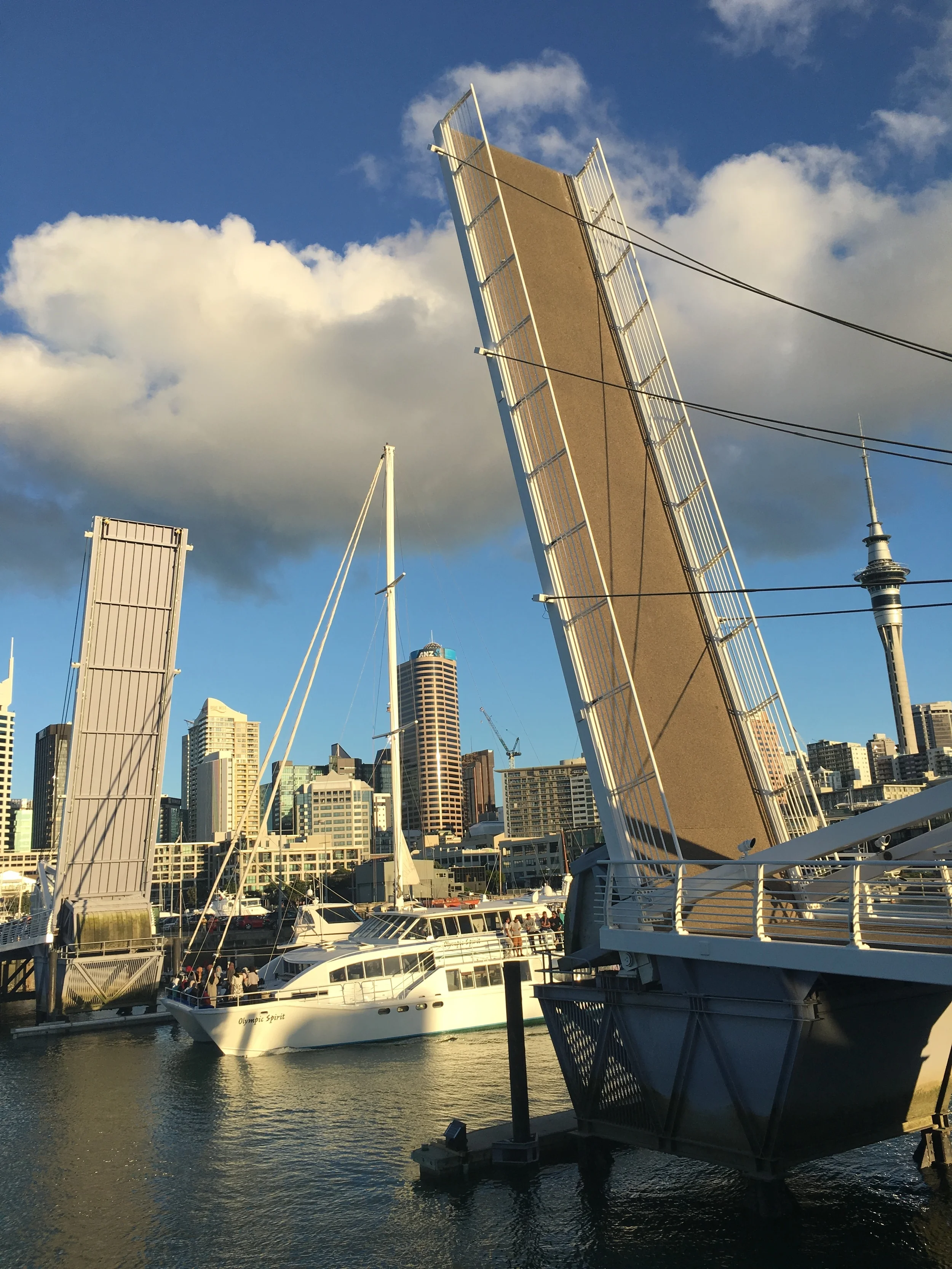 I've enjoyed walking around the marina, looking at all the big boats, and watching vessel operations such as this.