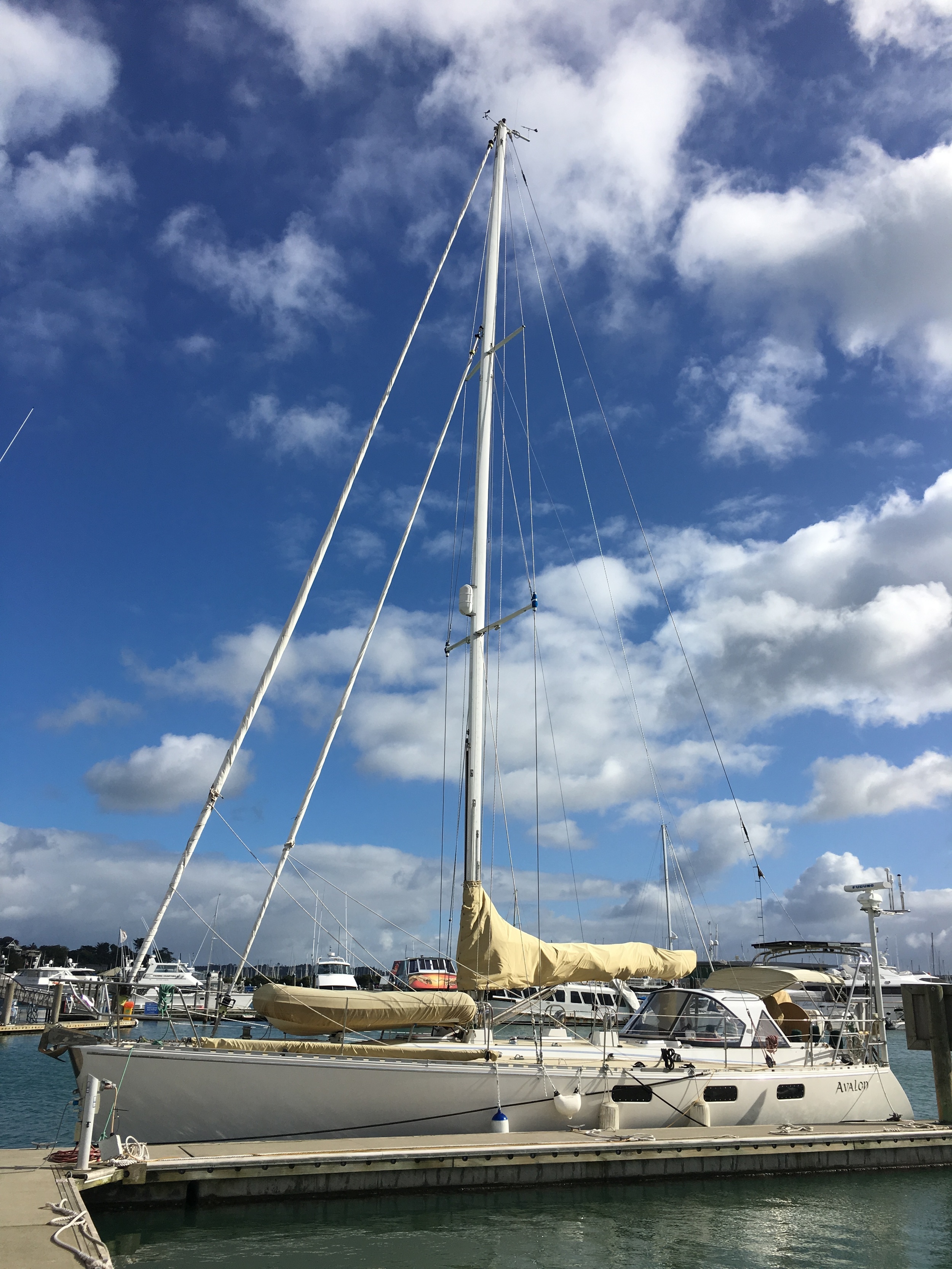 Docked safely at Pier 21, Westhaven Marina, Auckland, New Zealand.