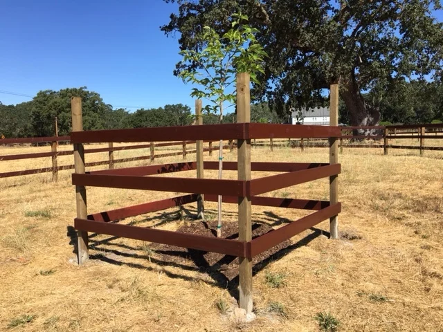 Stained. Done. Ready for the horses!