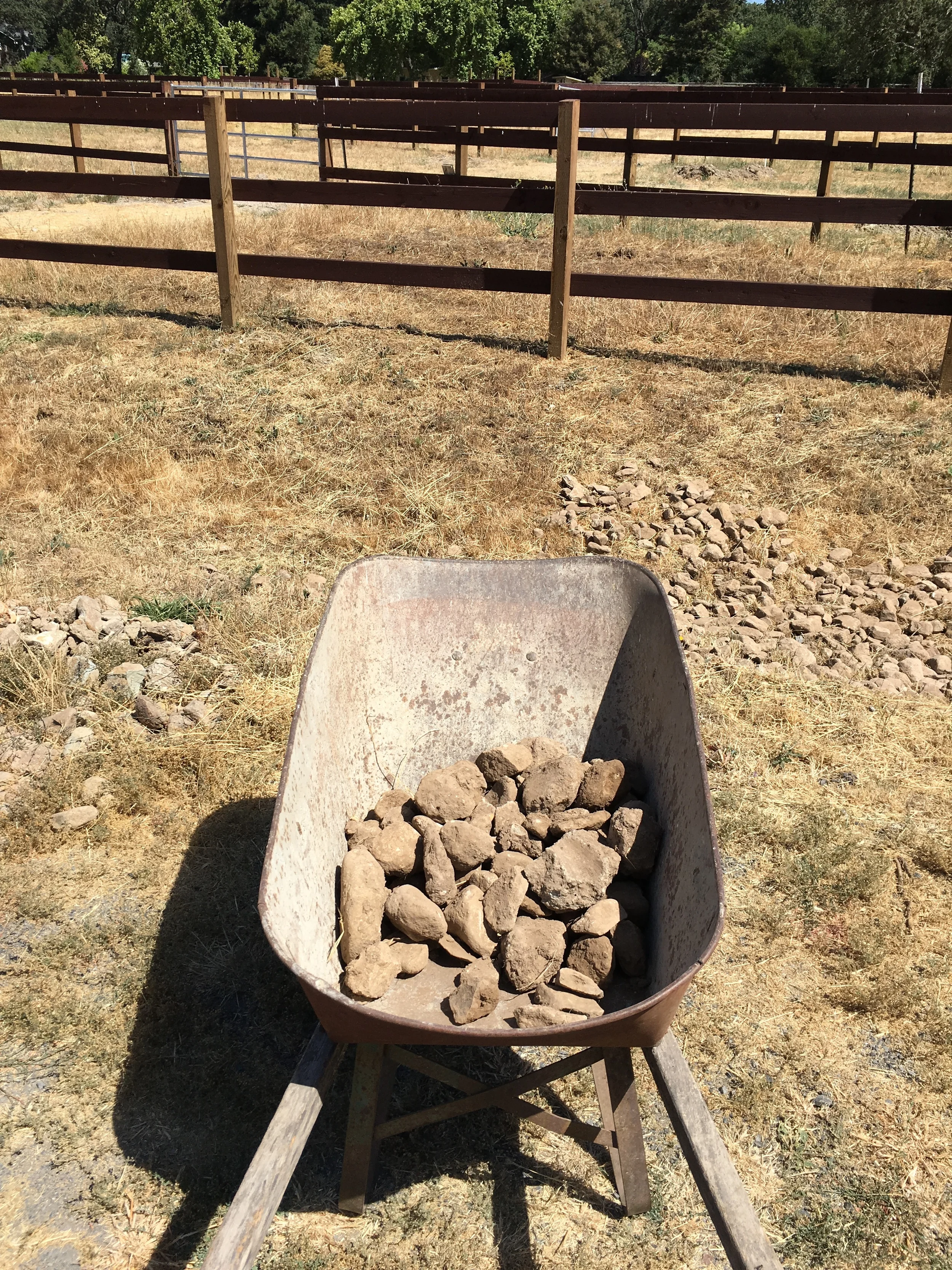 Clearing rocks from the berm (to get it ready for planting), and putting the rocks in the drainage ditch to prevent erosion.