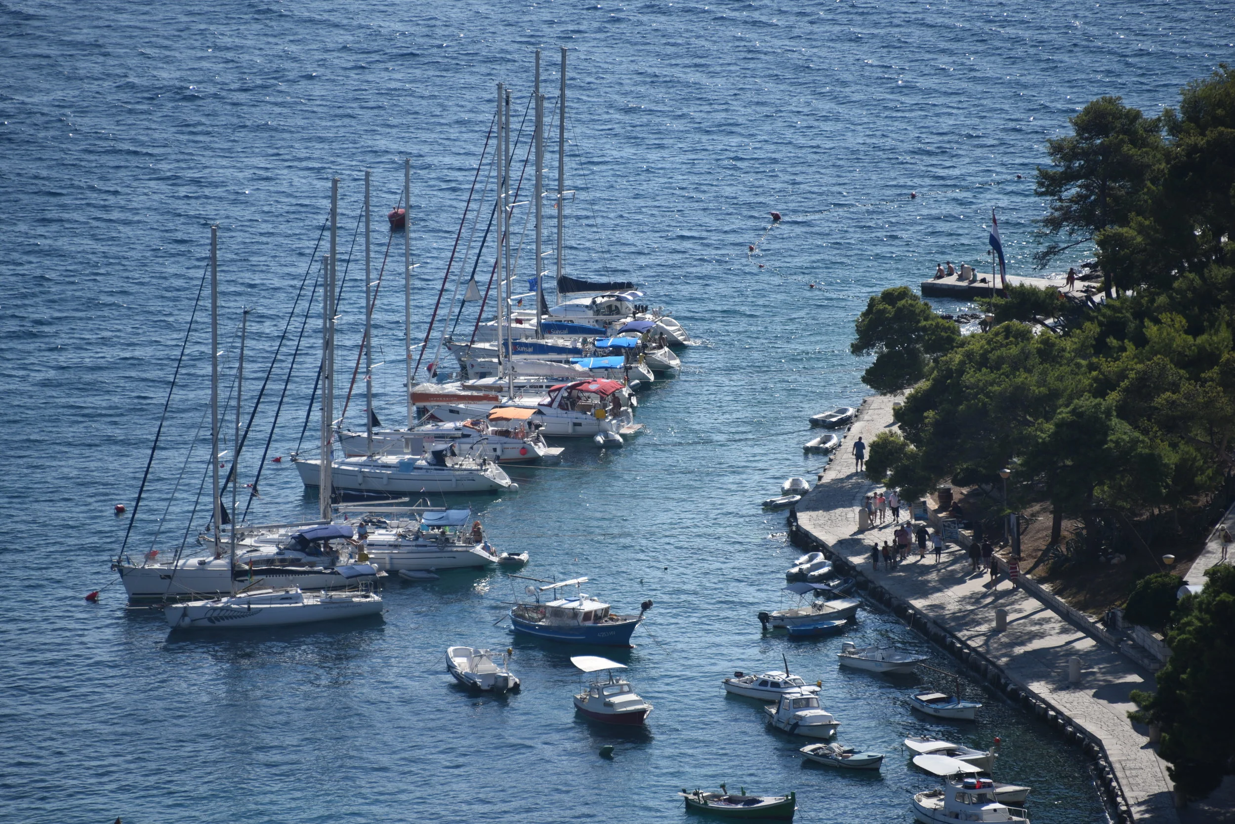 DSC_6117.JPG