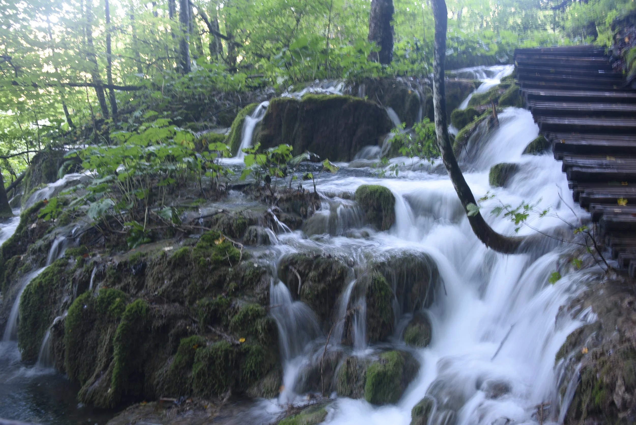 DSC_5638.JPG