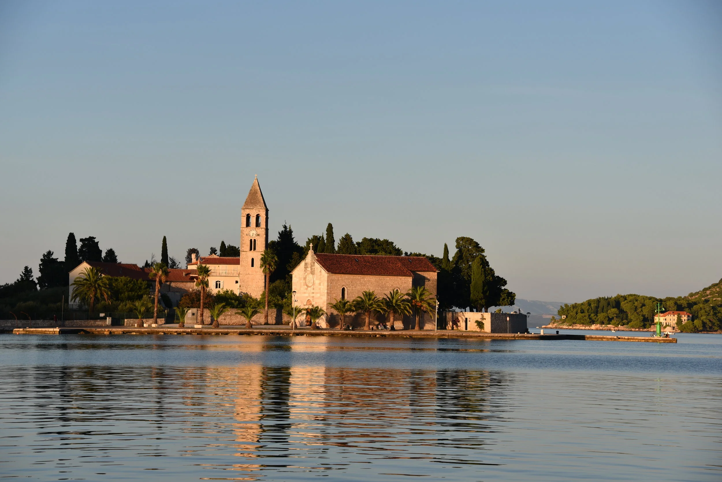 DSC_6499.JPG