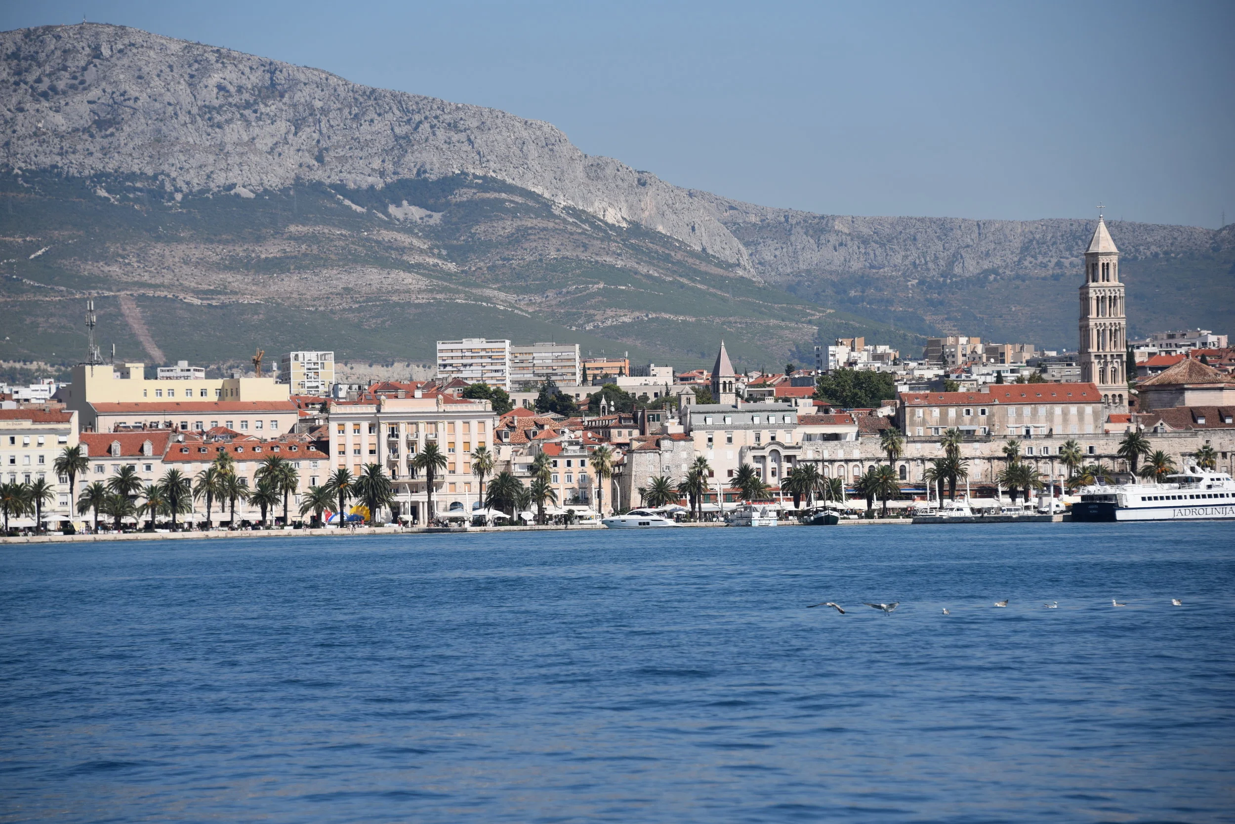 DSC_5828.JPG