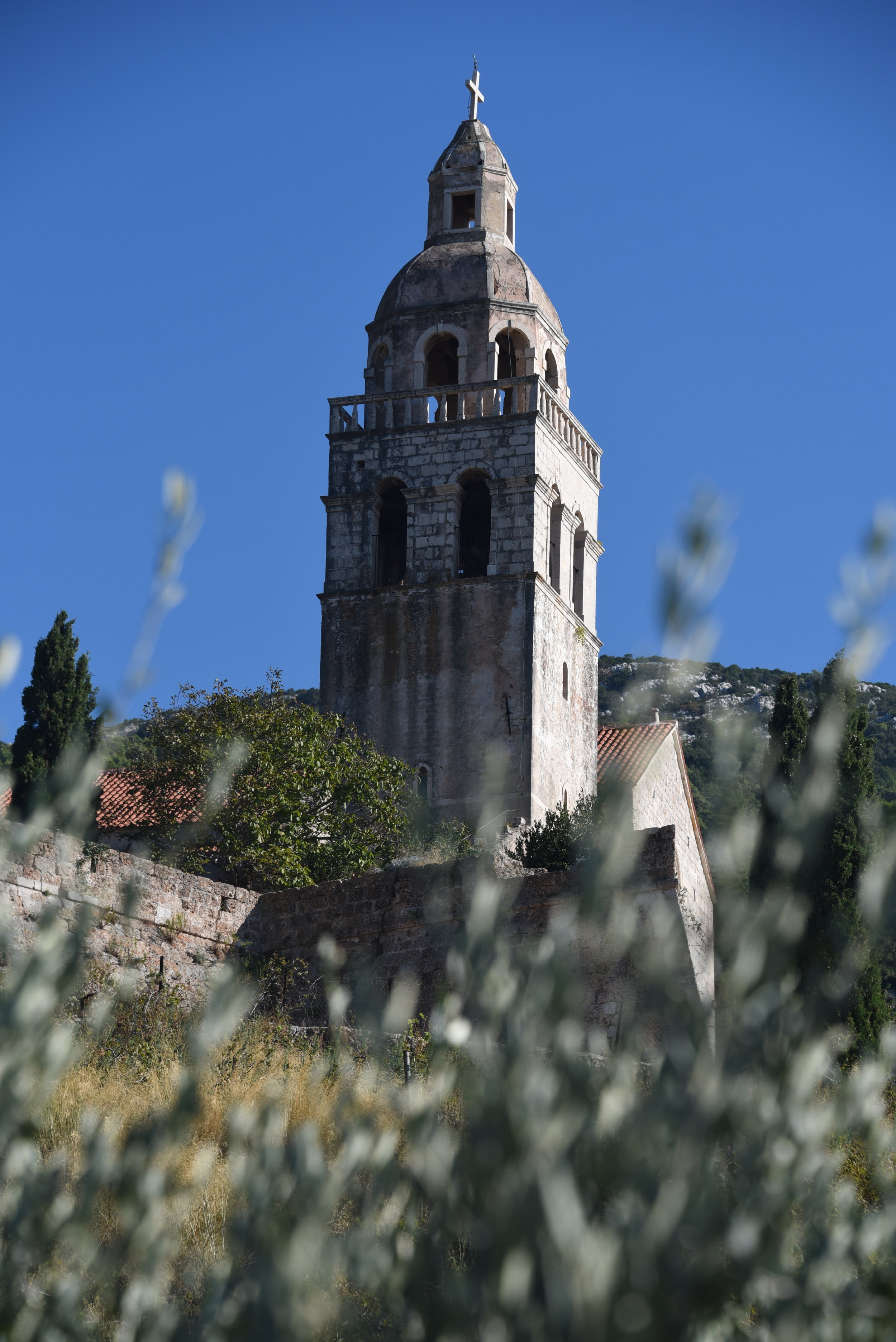 DSC_6238.JPG