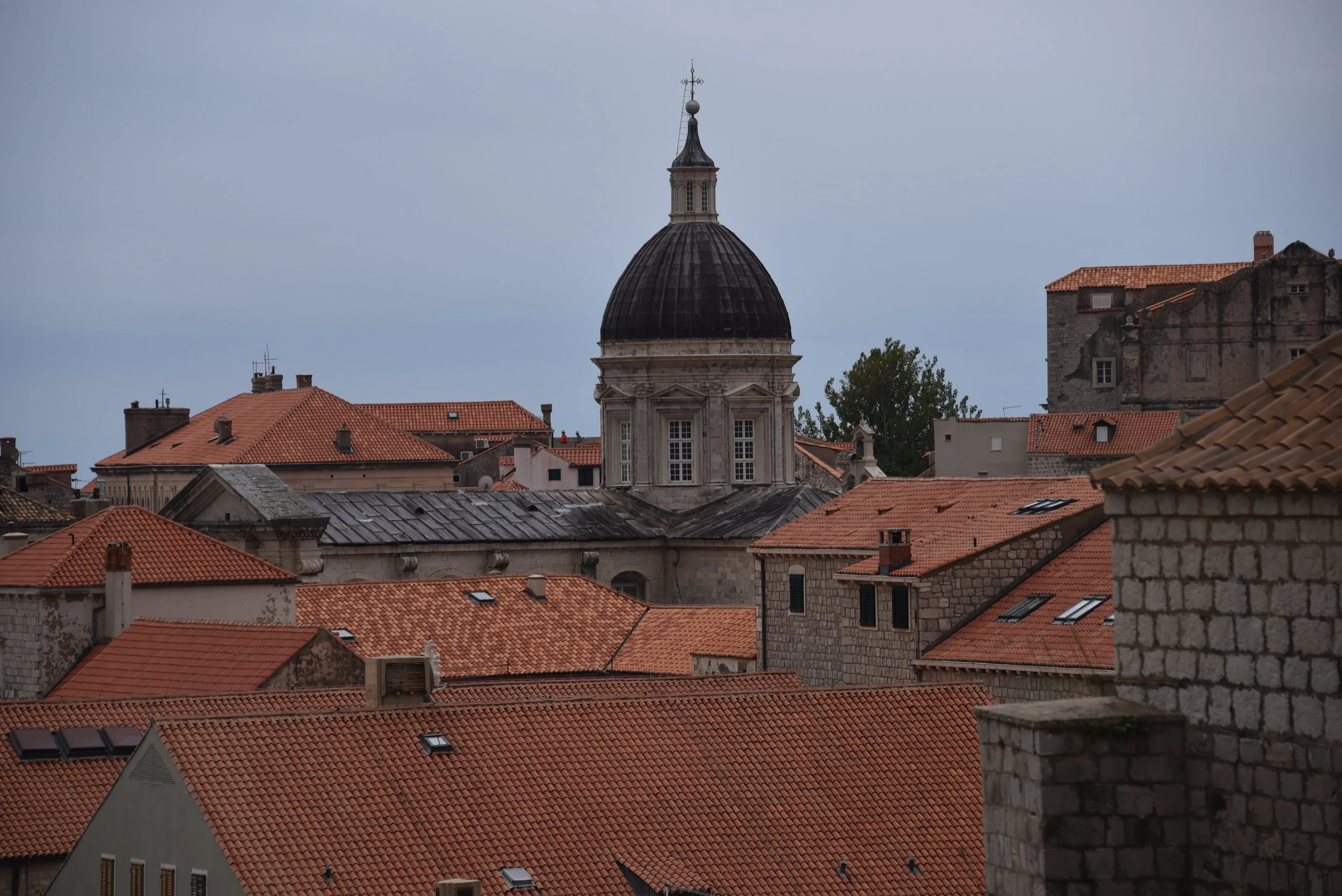 DSC_7099.JPG
