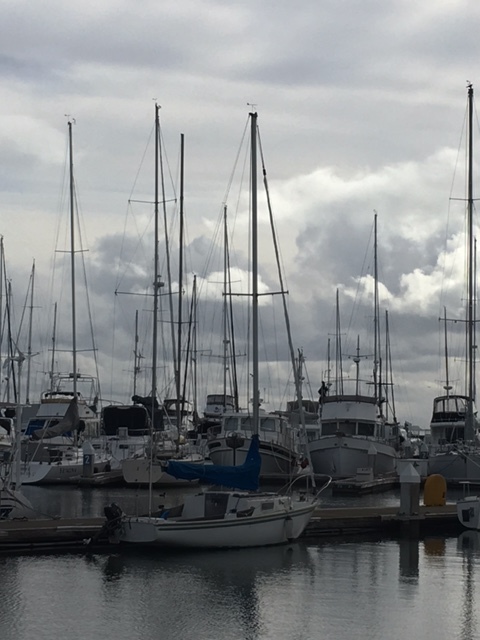 Why do I love sailboats so much? This picture is from the Brisbane Marina.