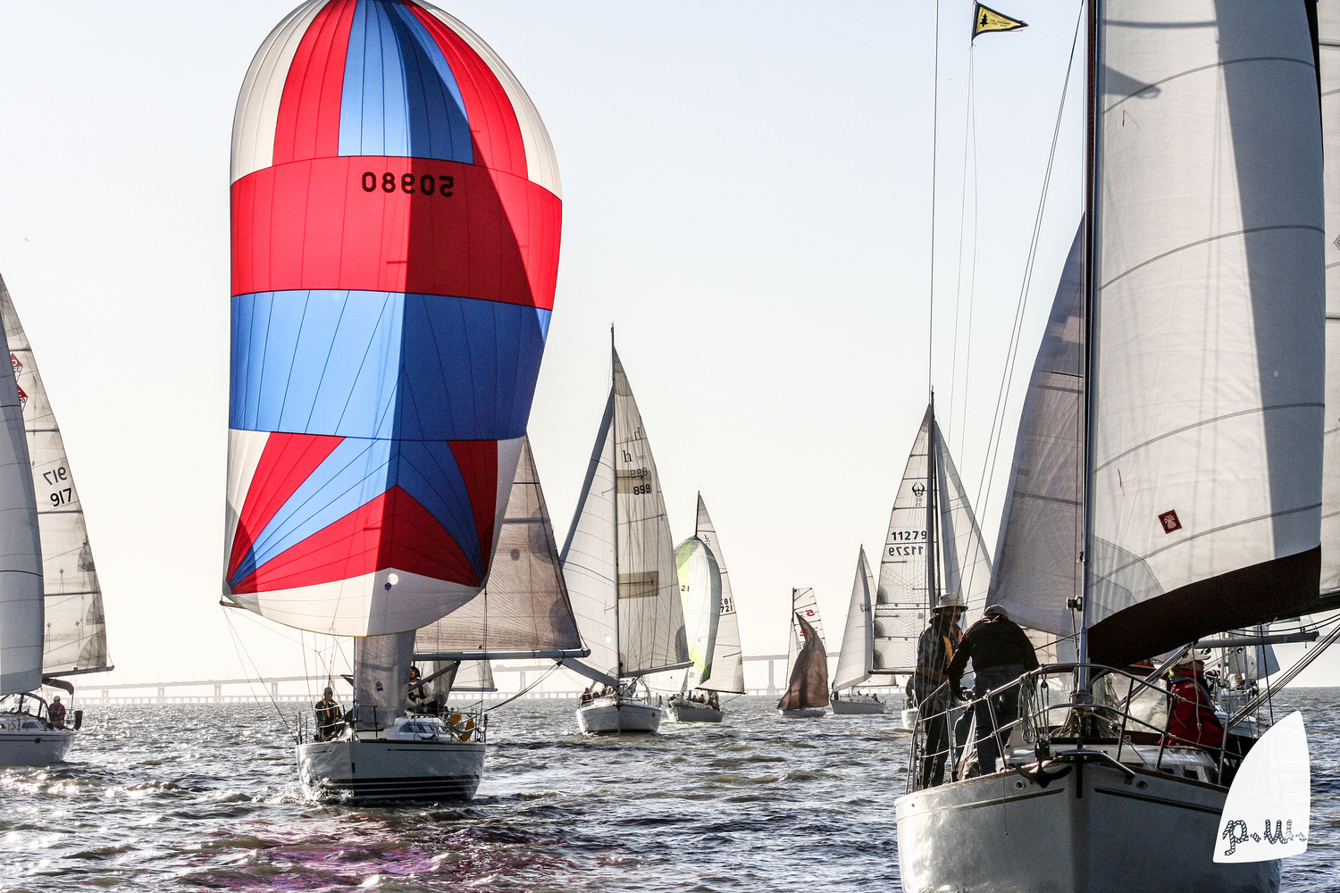We+came+in+second+place+that+evening.+(That's+us+with+the+red%2Fwhite%2Fblue+spinnaker+flying.jpeg