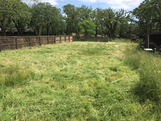Some of my handiwork - cutting the tall grass.