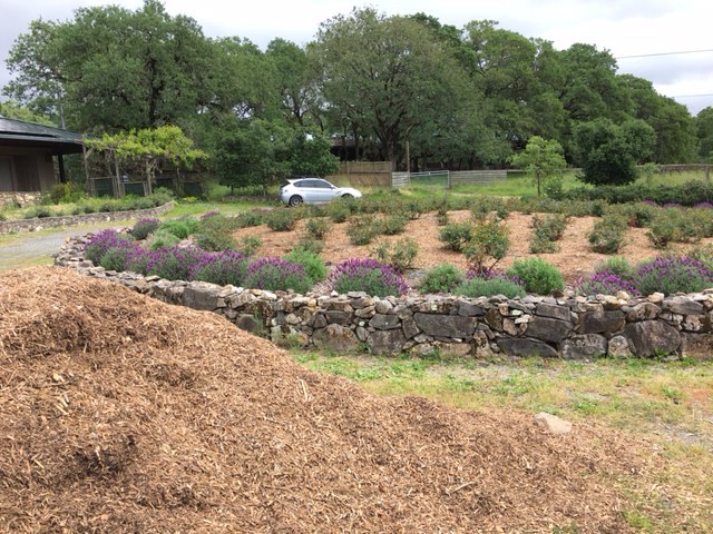 That's a lot of mulch!