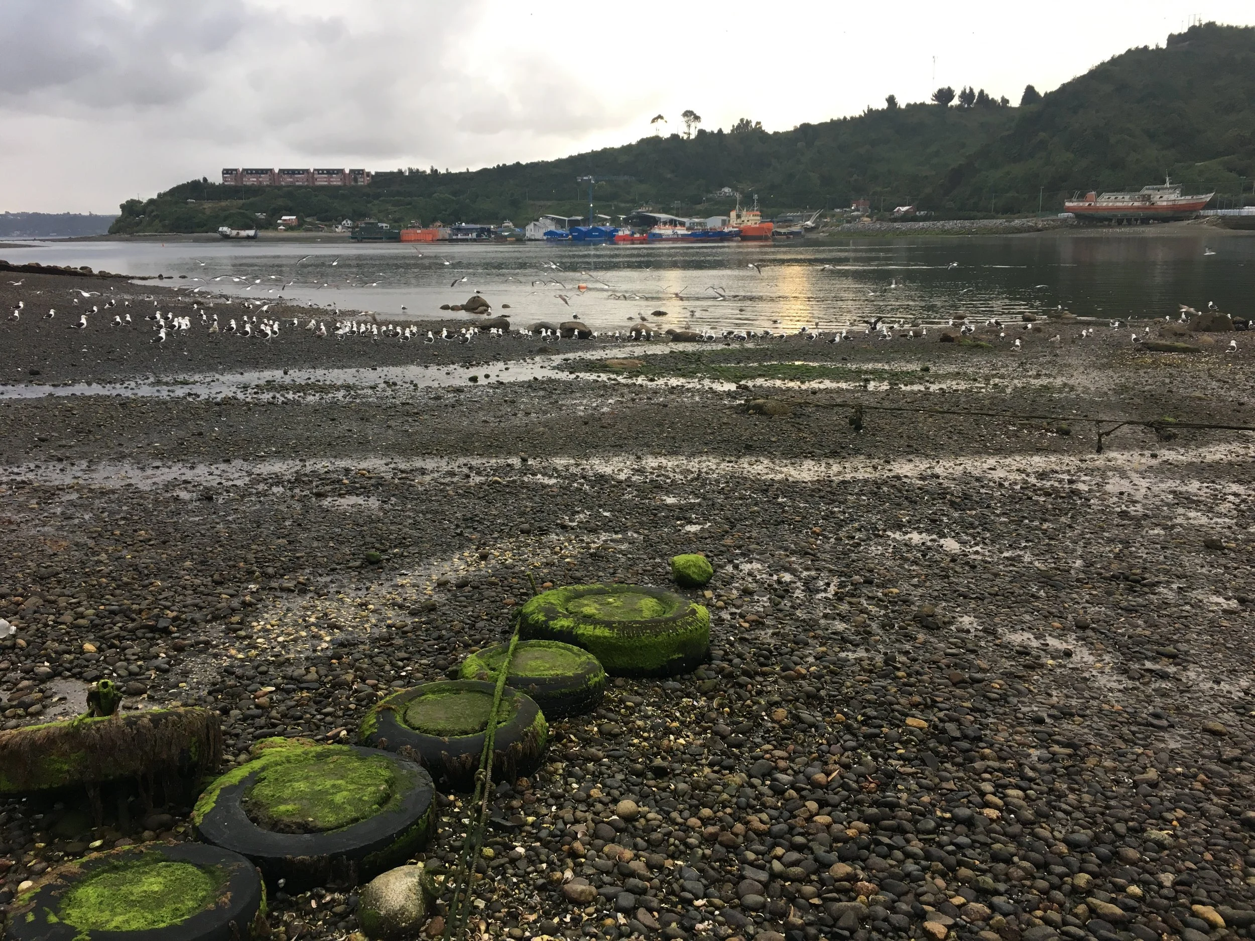 The beach at low tide. I took a few pictures of landing spots to study the location of hazards like submerged boulders and lines at higher tides.