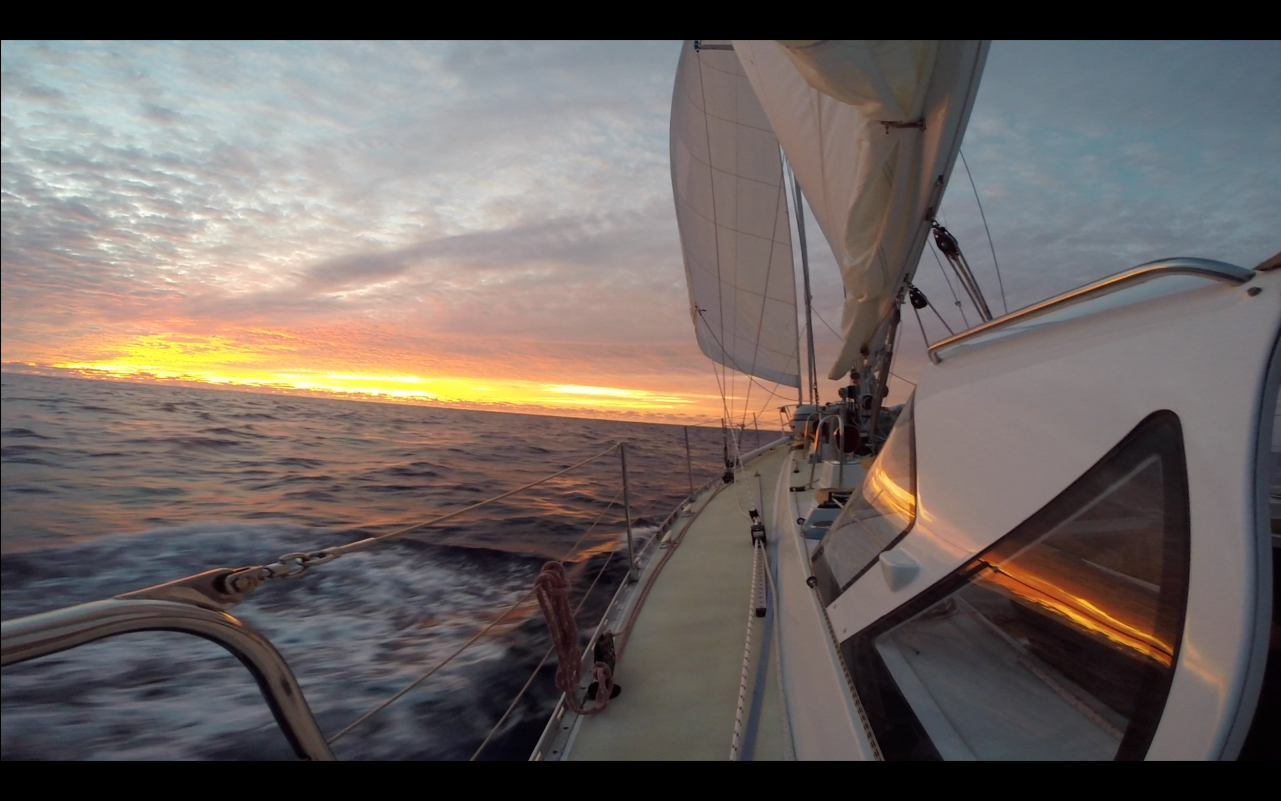Aboard SV Avalon, somewhere in the South Pacific Ocean.