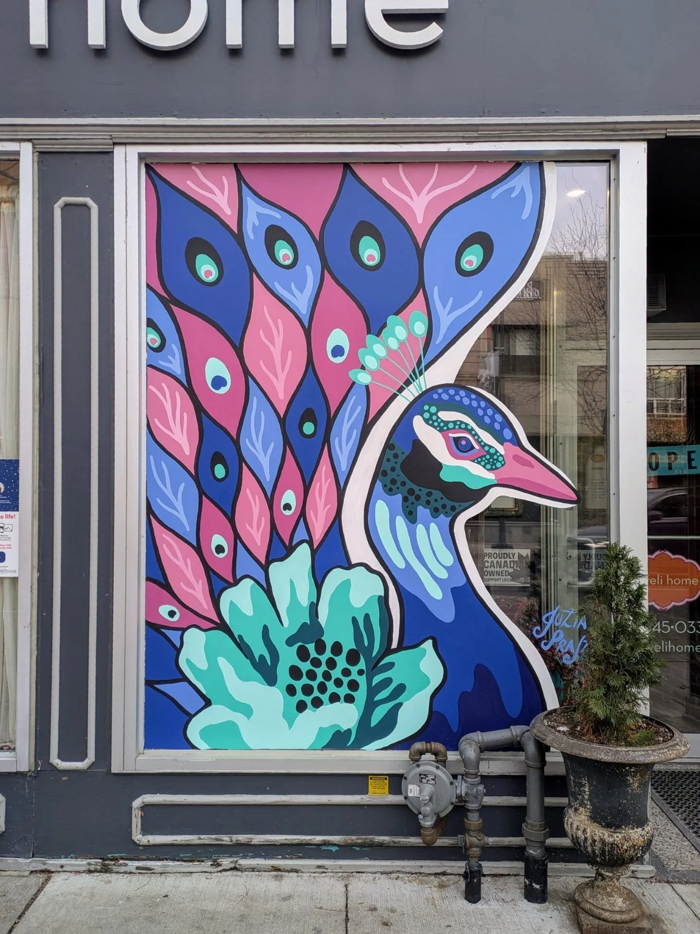 Window Wonderland is now live! ❄️✨

This vibrant peacock mural comes alive through AR, its unfurling feathers leading viewers on a journey of migration, movement, and cultural storytelling.

Animation by @inhideandseek , inspired by the heritage of H