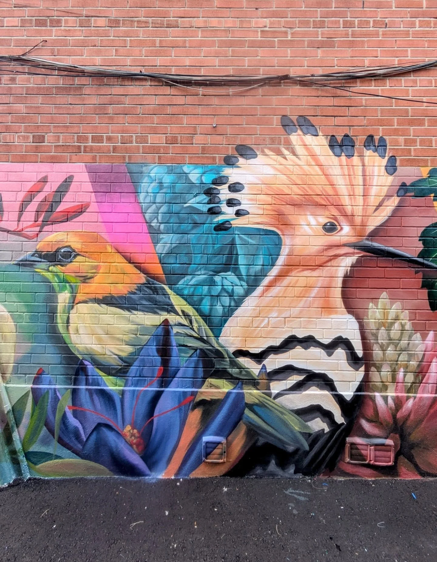 🕊️&nbsp;🍇Of Roots &amp; Radiance&nbsp;🌿

Painted in collaboration with @hotsnackz this&nbsp;mural celebrates the beauty of cultures coming together in Oakwood Village&mdash;united through colour, nature, and community. Featuring coral tree blossom