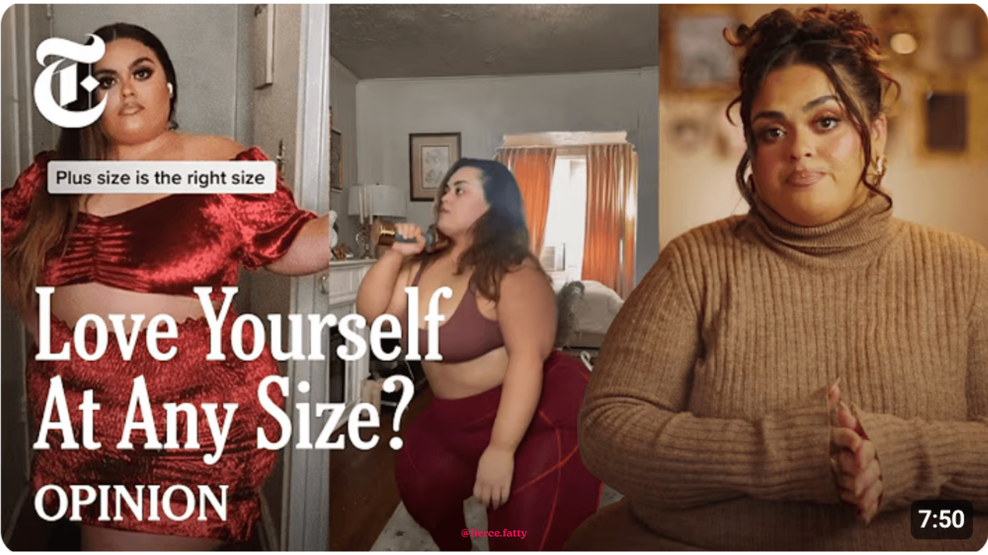 What the NYT got wrong: Screenshot of love yourself at any size?