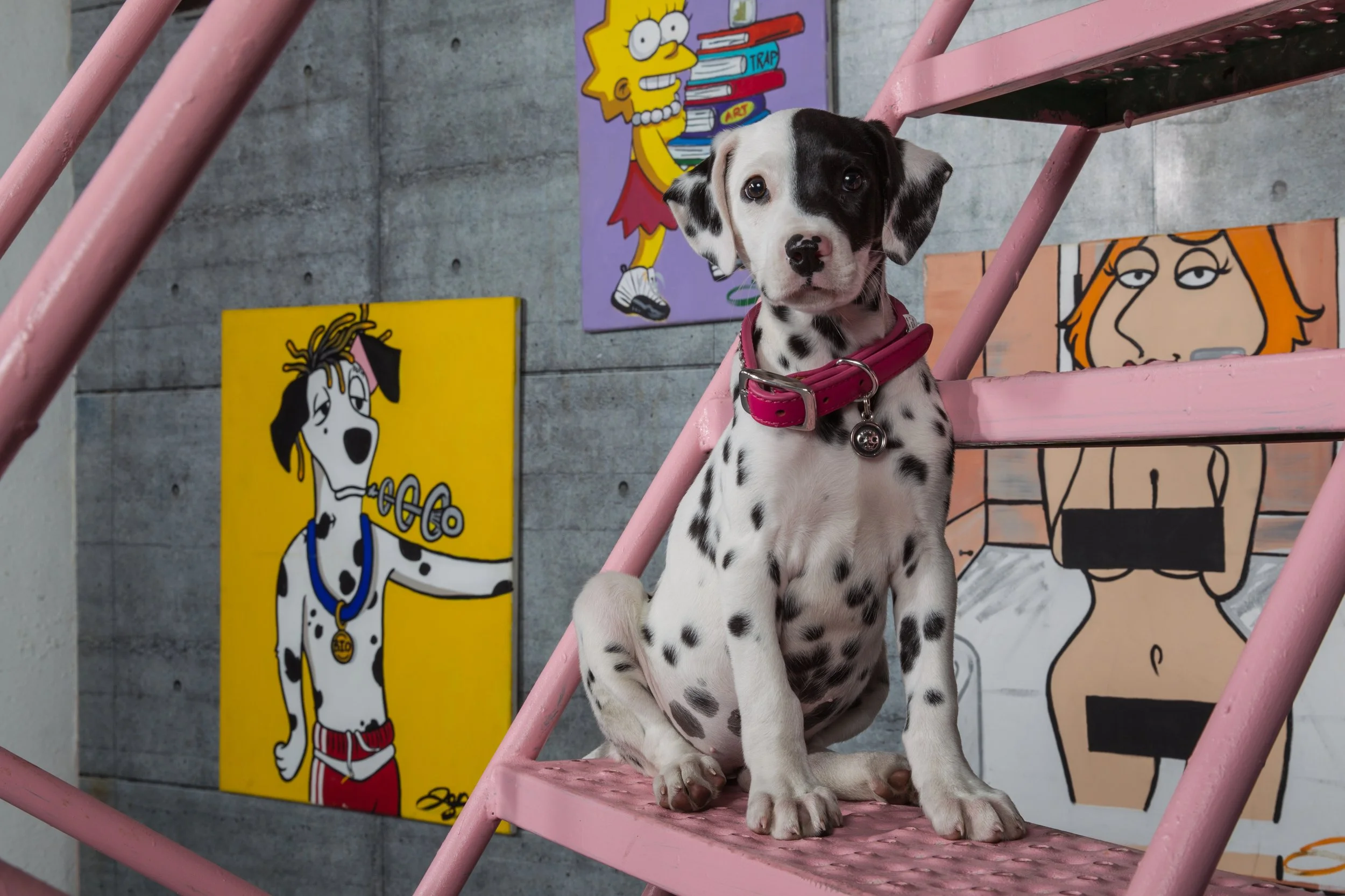 Copy of _T1_7940.JPG