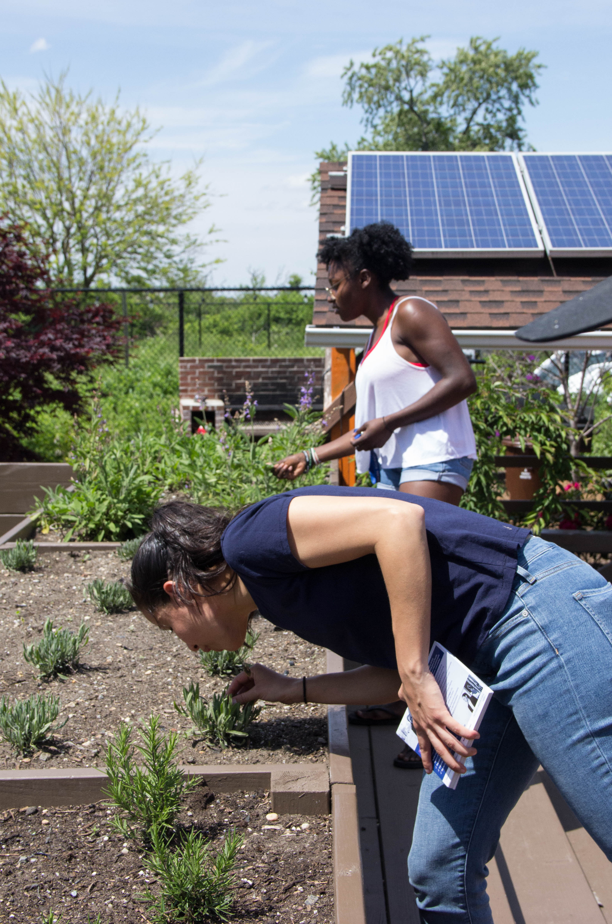 Screen Shot 2019-06-03 at 11.53.07 PM.png