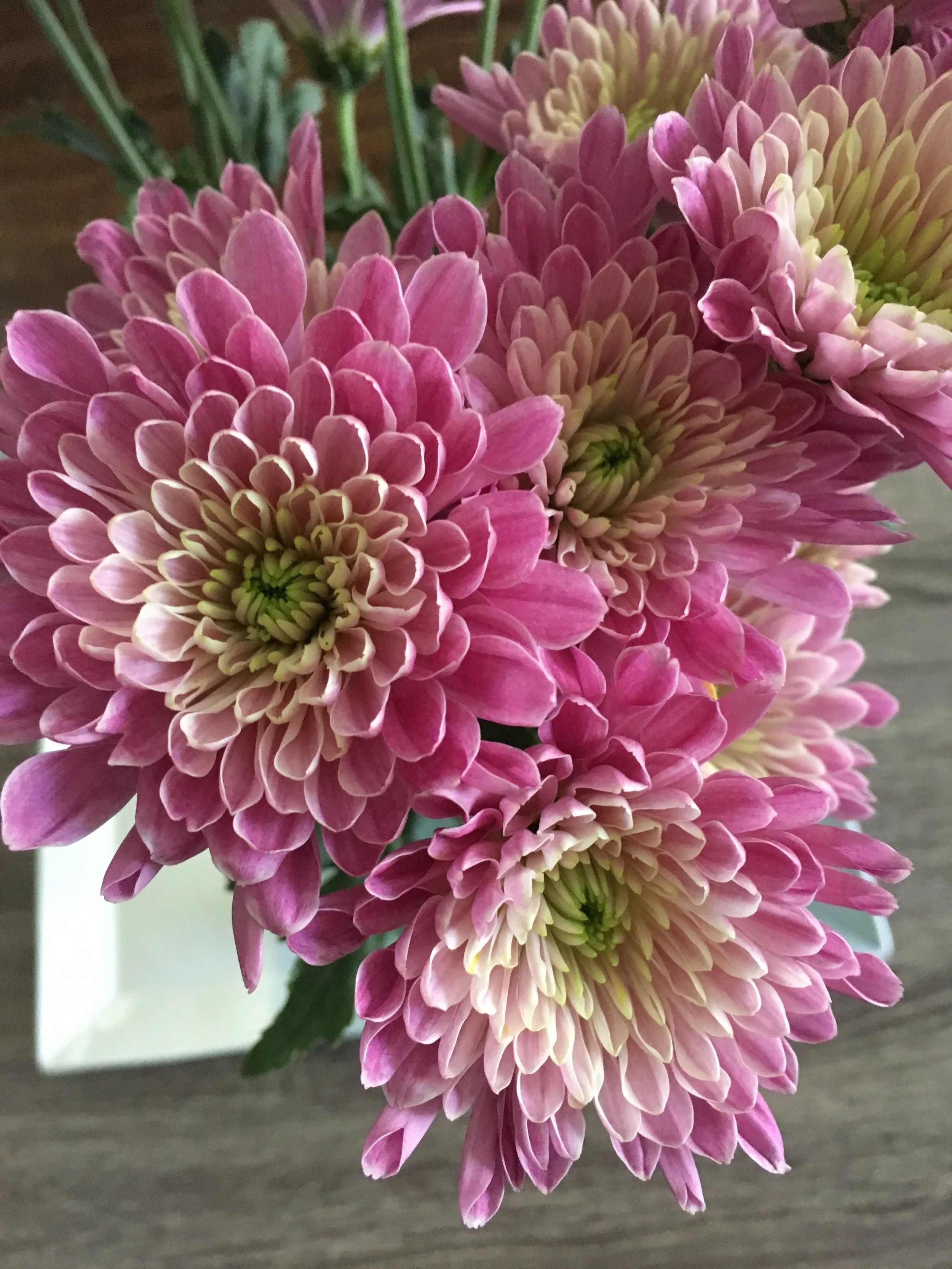 How stunning are these flowers from my lovely friend Sara?! They smell amazing too! 