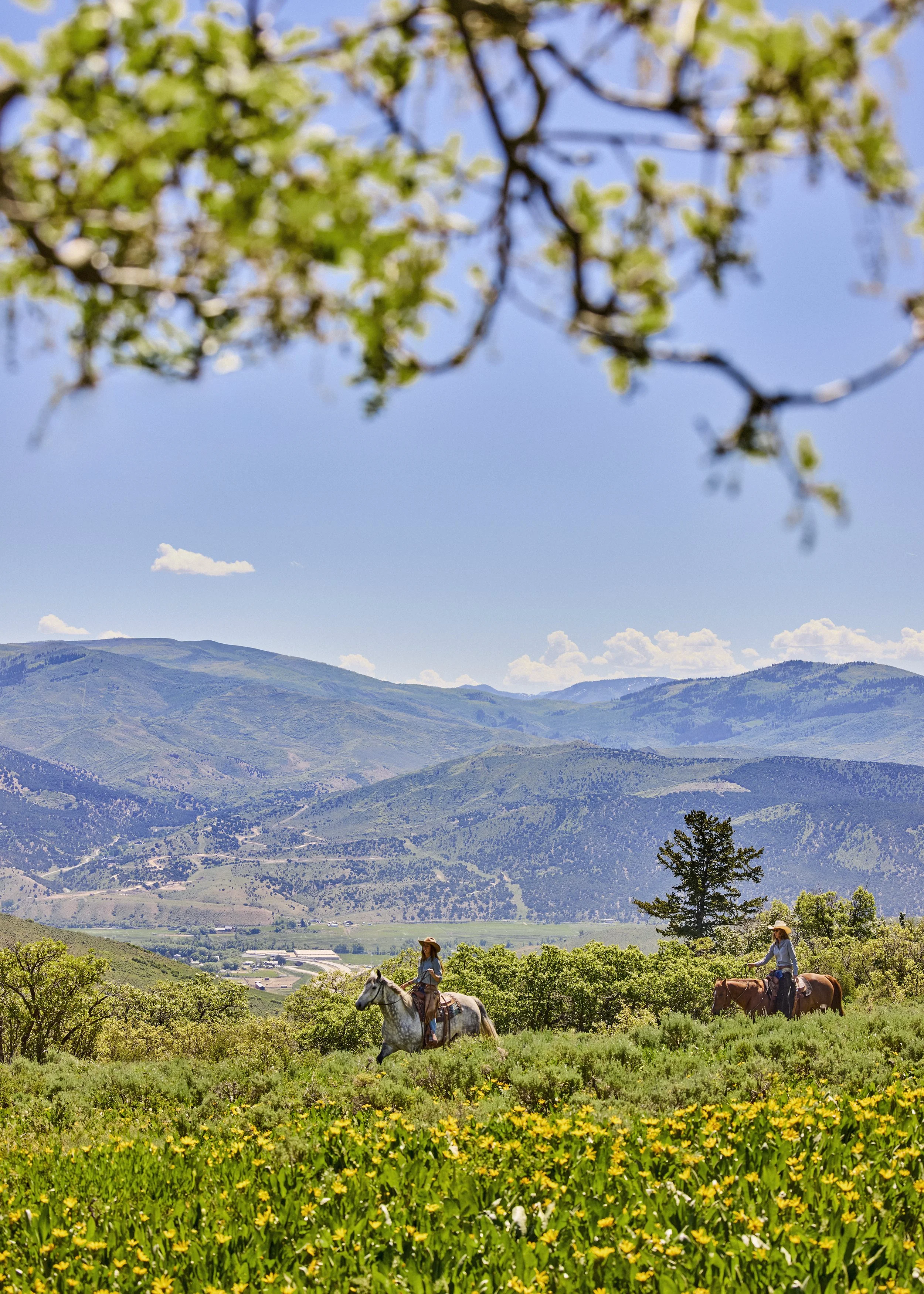 BSK_Experiences_Equine_Trail-Ride_02260.jpg