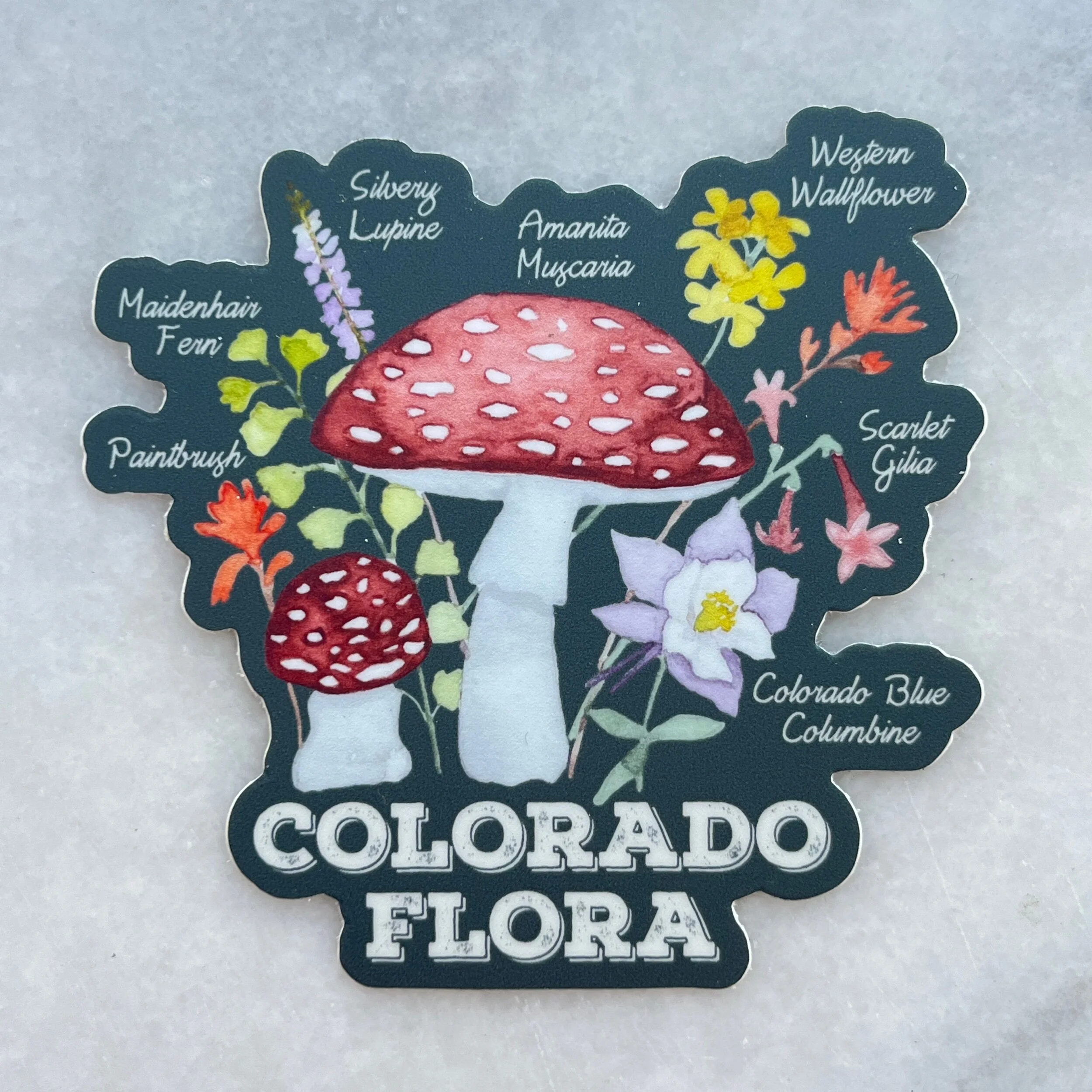 336A258F-B36D-4ED3-A908-F46CDE955BD1