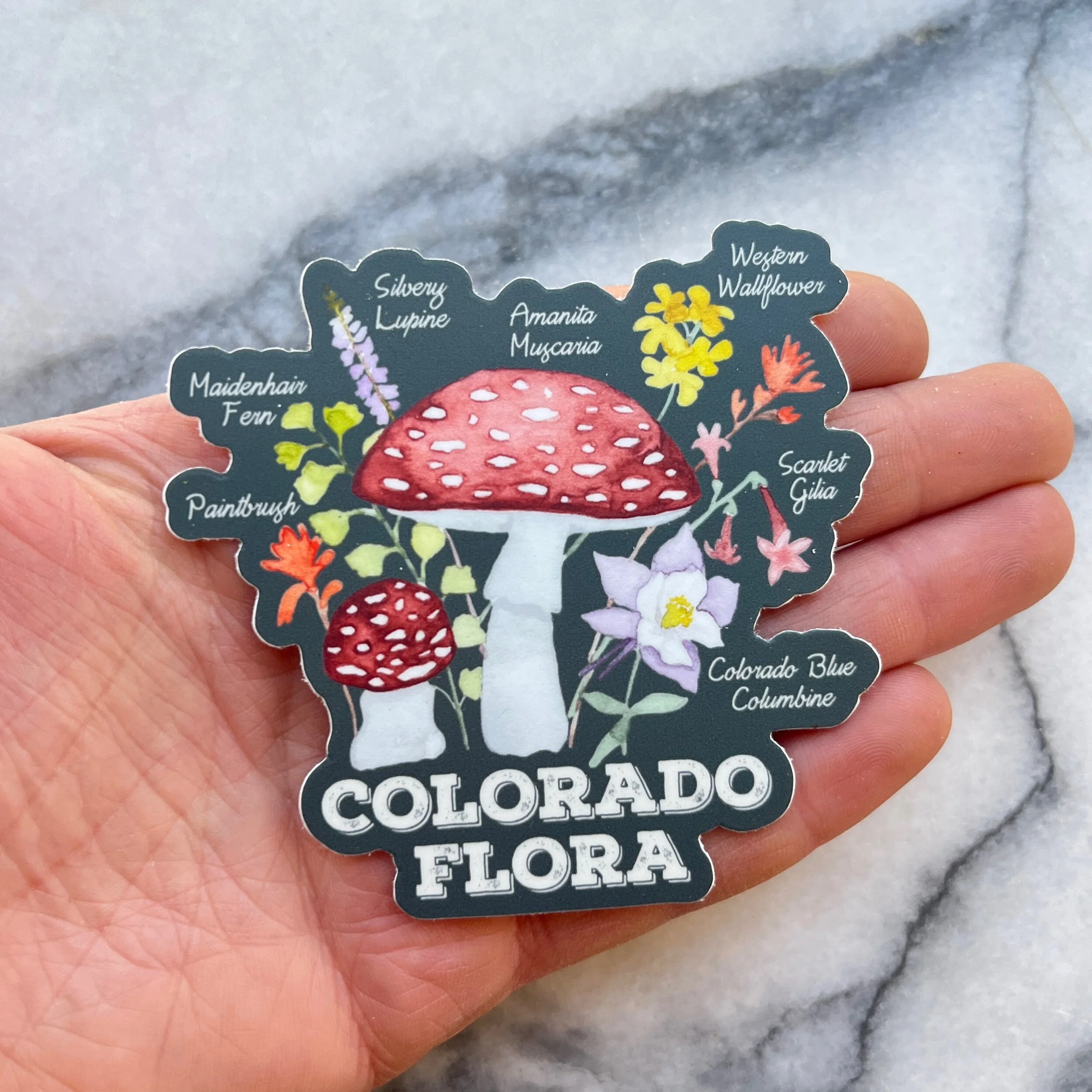 999FEA06-38D0-4074-B942-134F3D45FC43