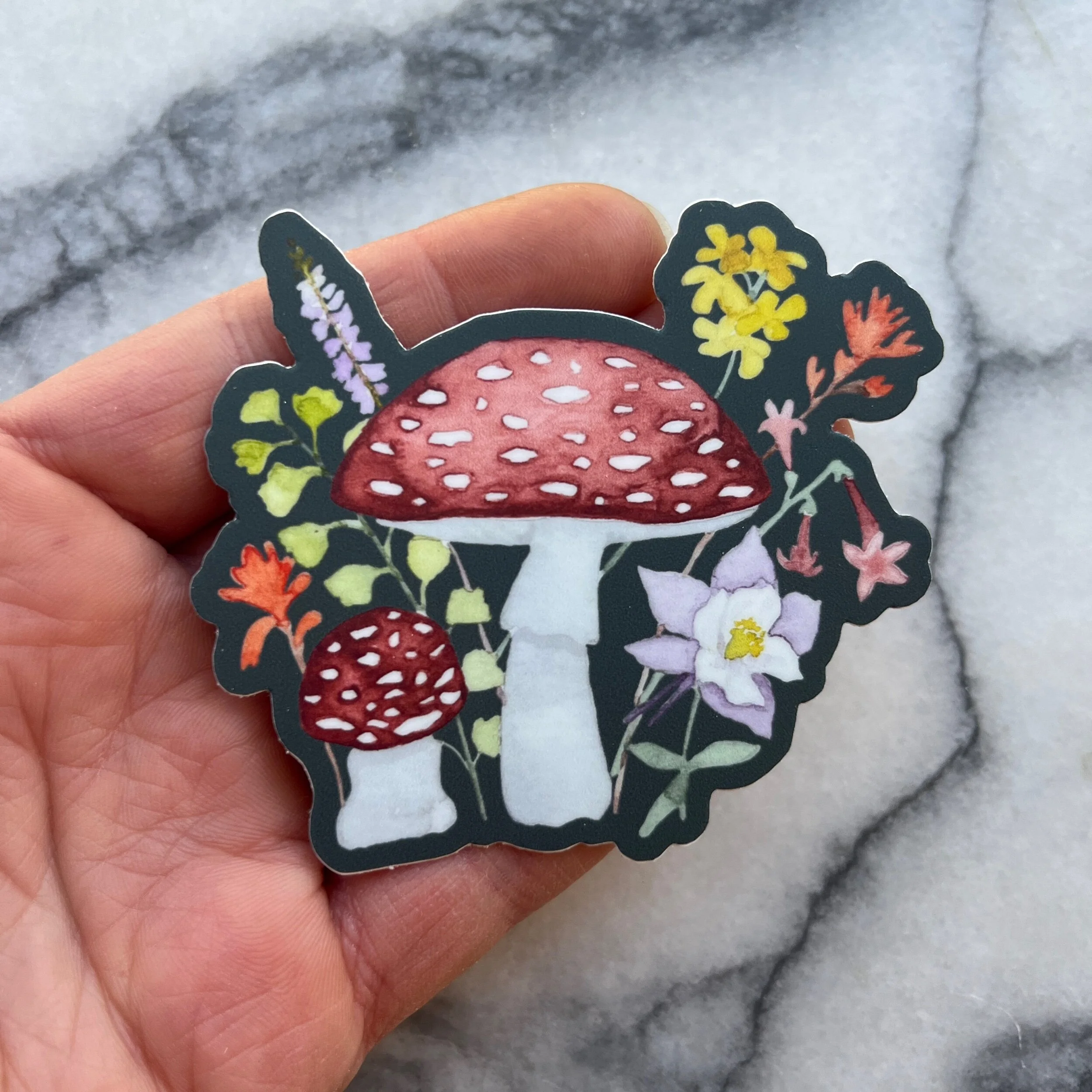 6CF39067-3309-46B5-BA3D-5FA3A5E6C50F