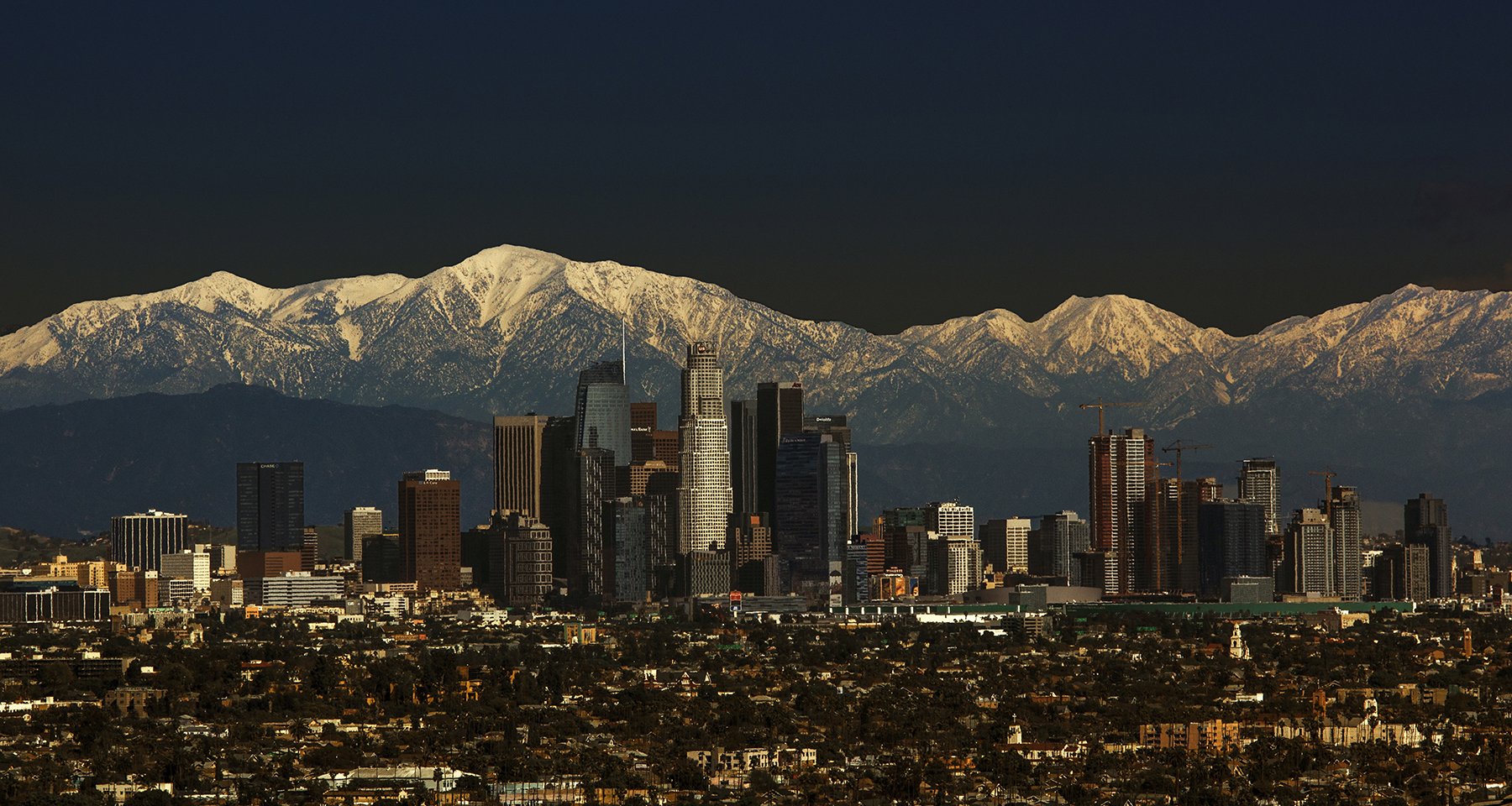LA-Skyline copy.jpg
