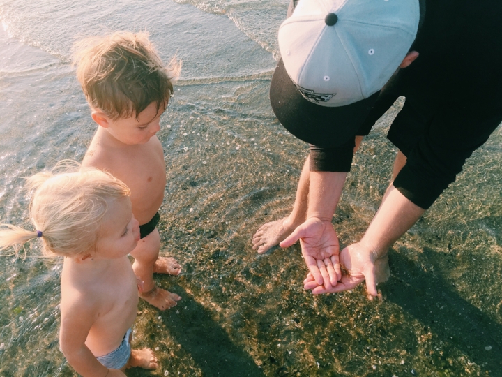 discovering sand crabs