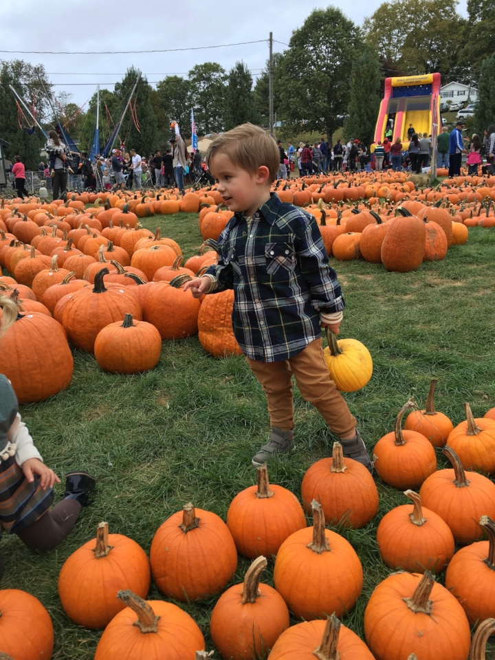 William and Nora both picked out yellow pumpkins, which I thought was awesome. 