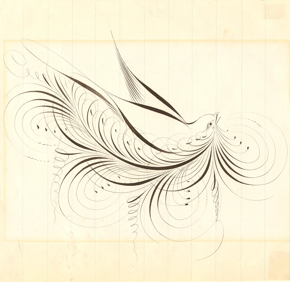 JFHookBird color_WEB.jpg